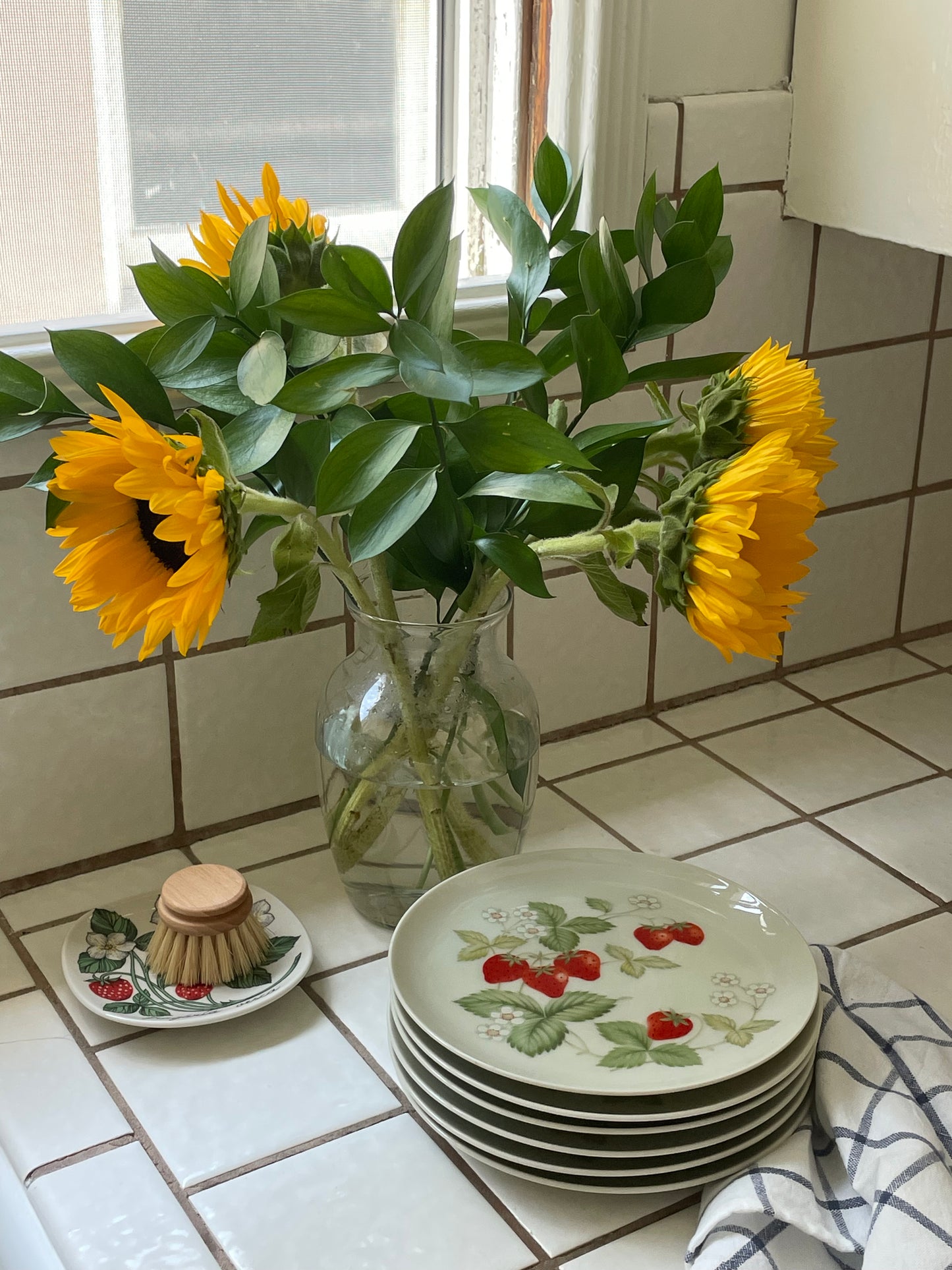 Strawberry Shortcake Plates, Set of 6