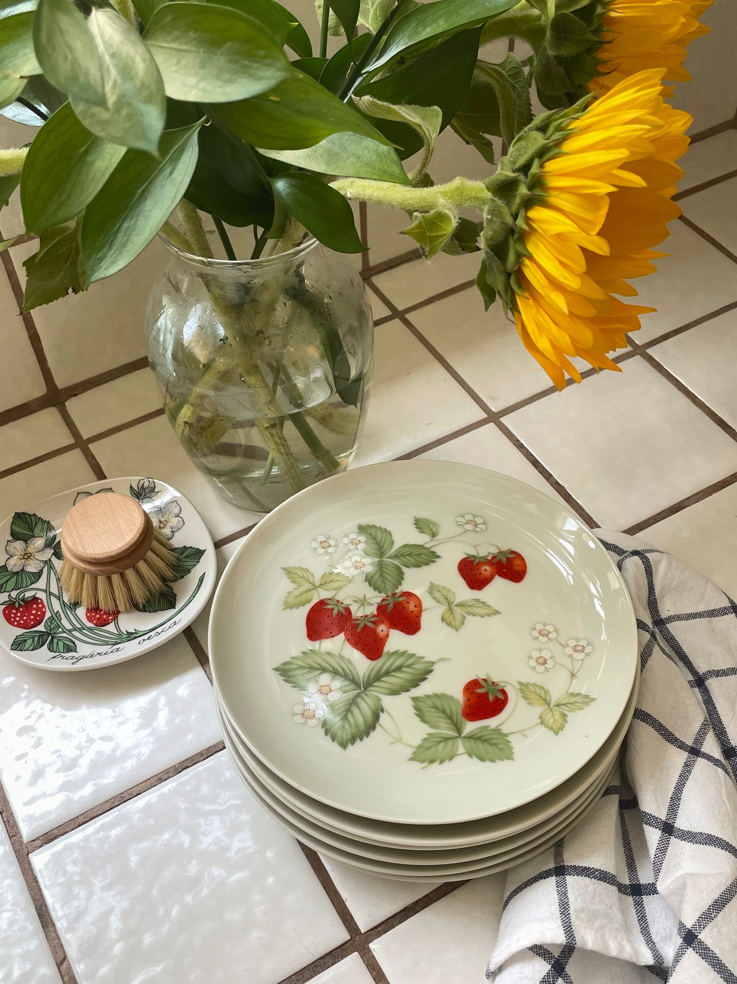 Strawberry Shortcake Plates, Set of 6