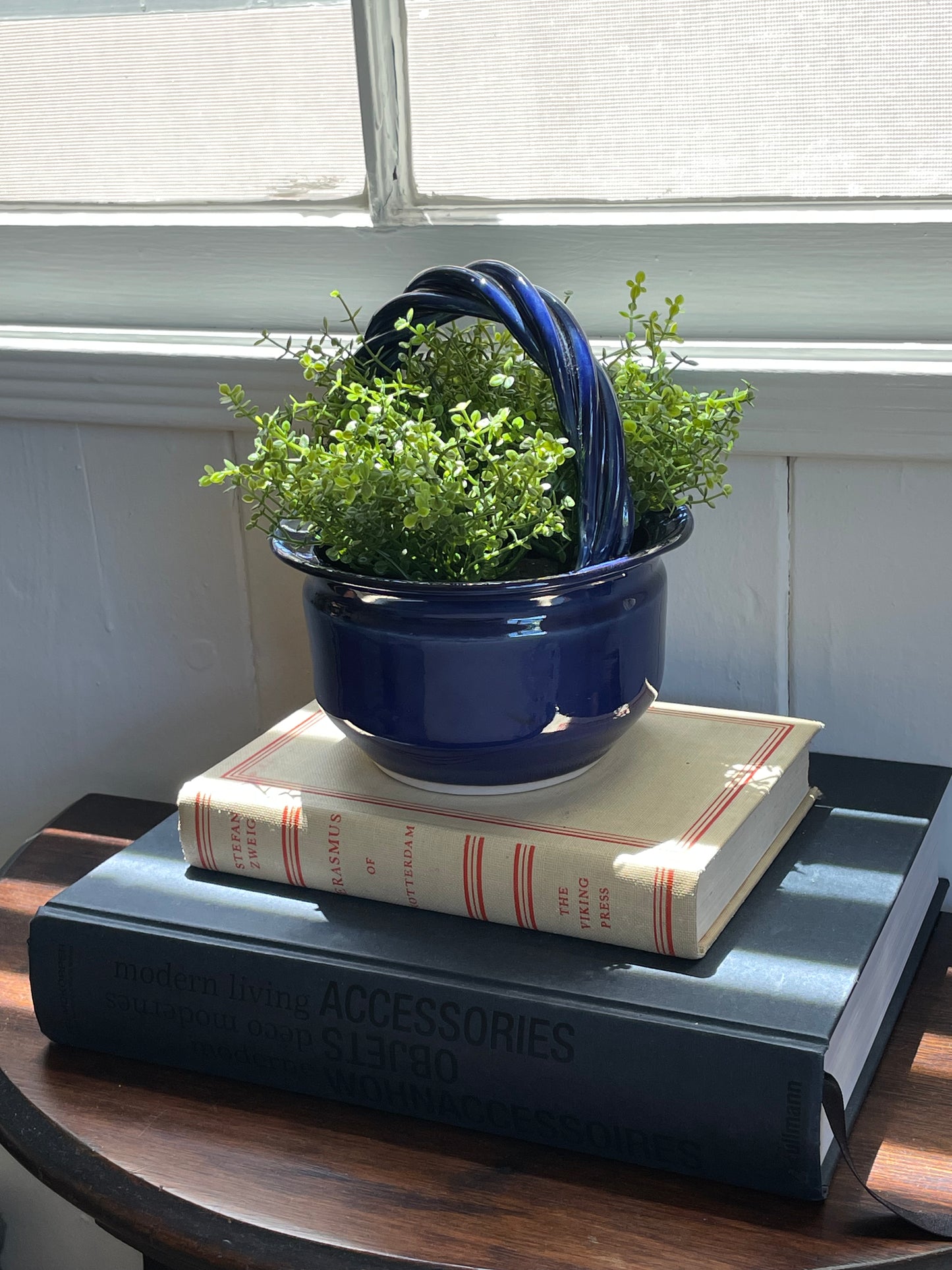Freshwater Plant Pot