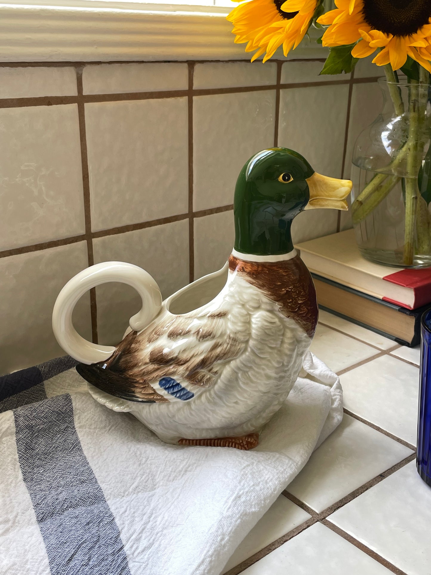 Waddle Pitcher