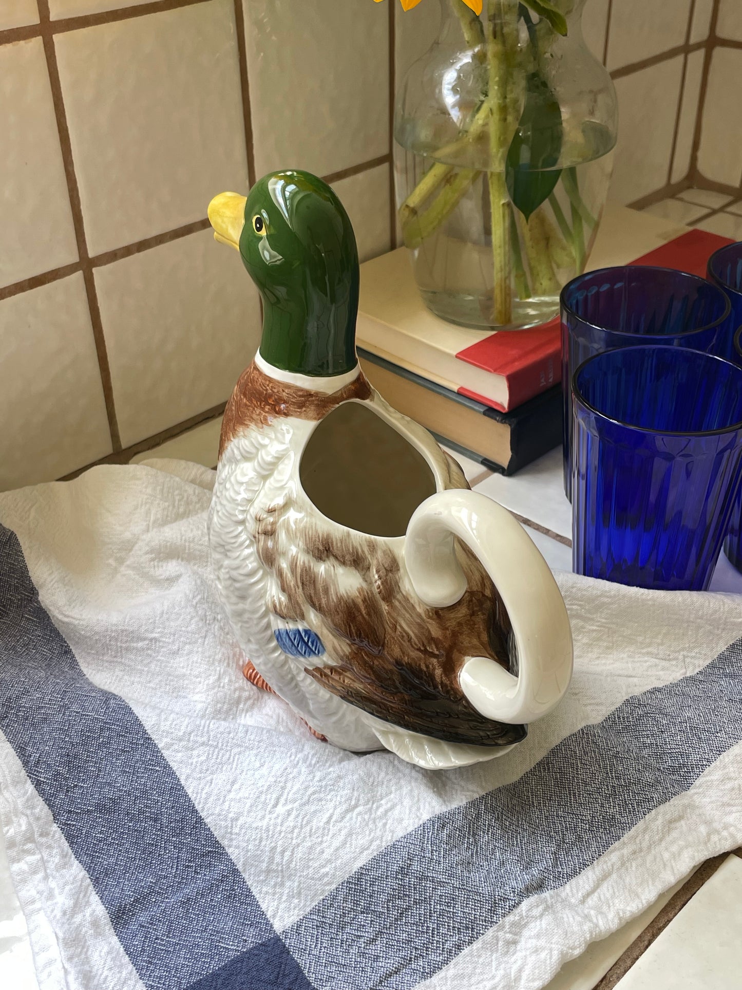 Waddle Pitcher