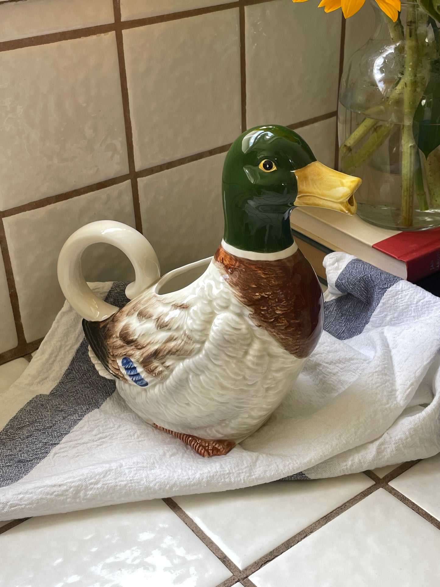 Waddle Pitcher