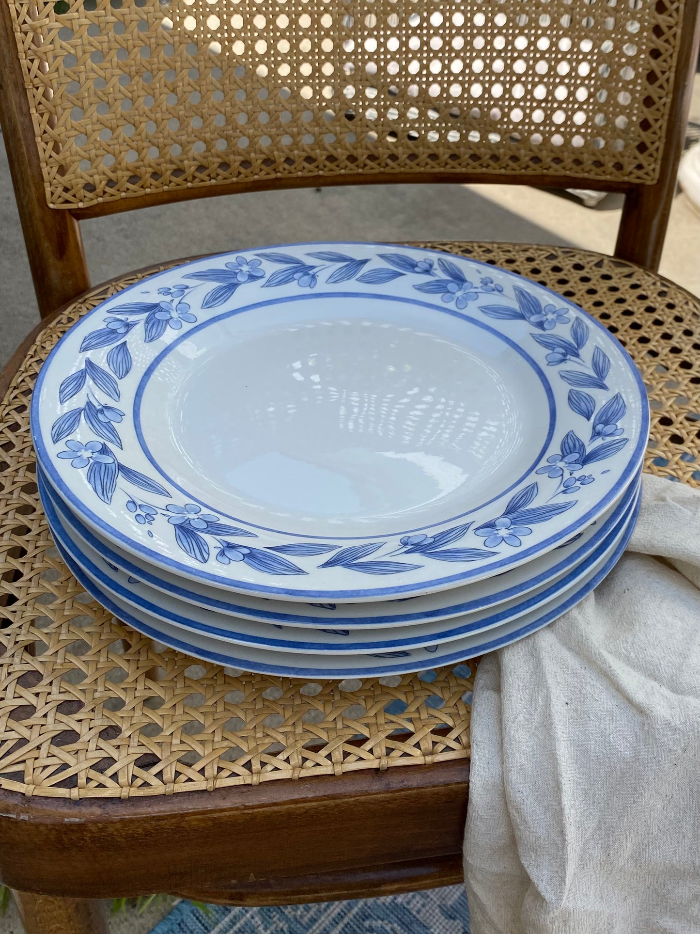 Big Sky Dinner Plates, Set of 5