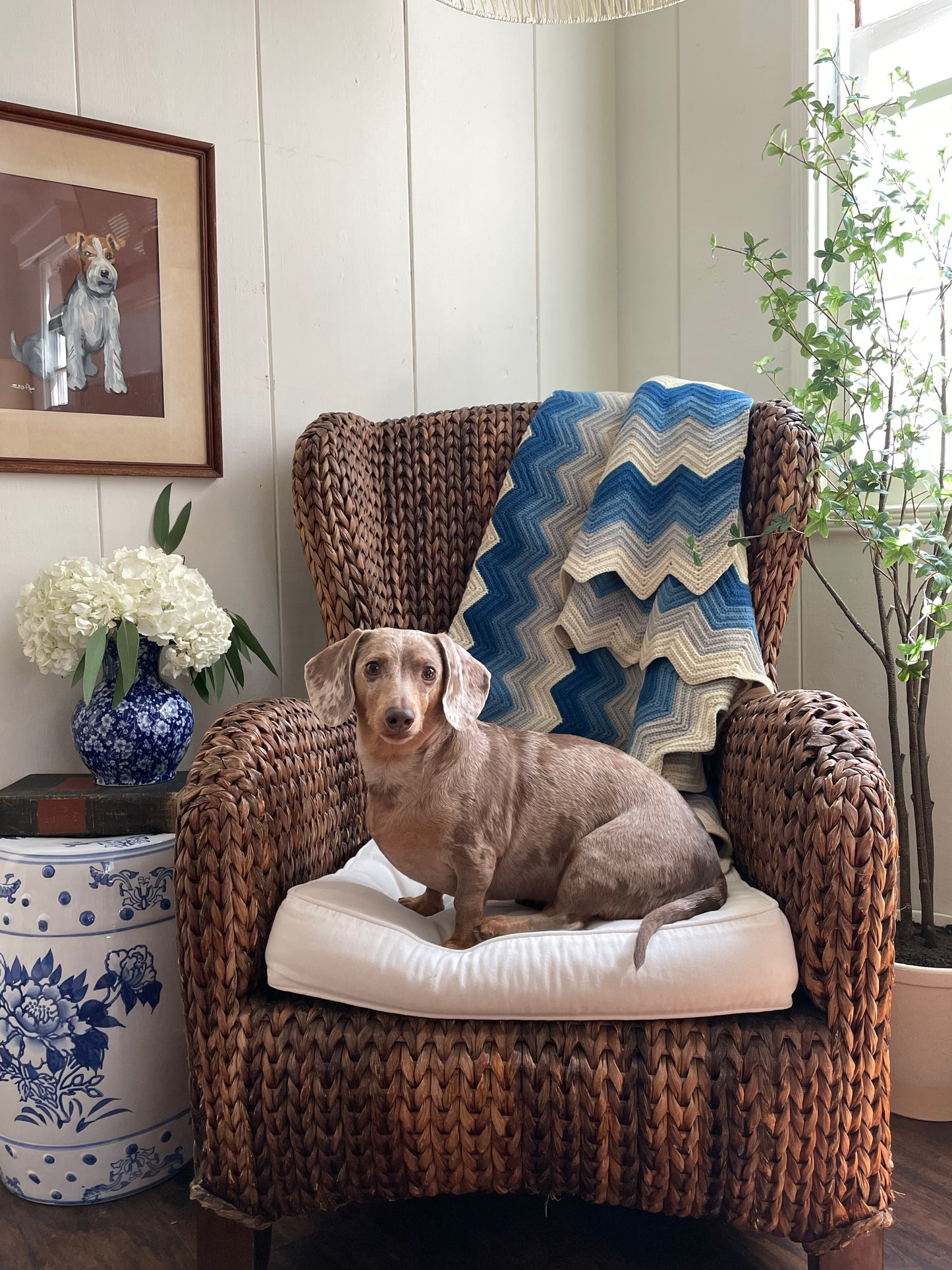 Franklin Throw Blanket