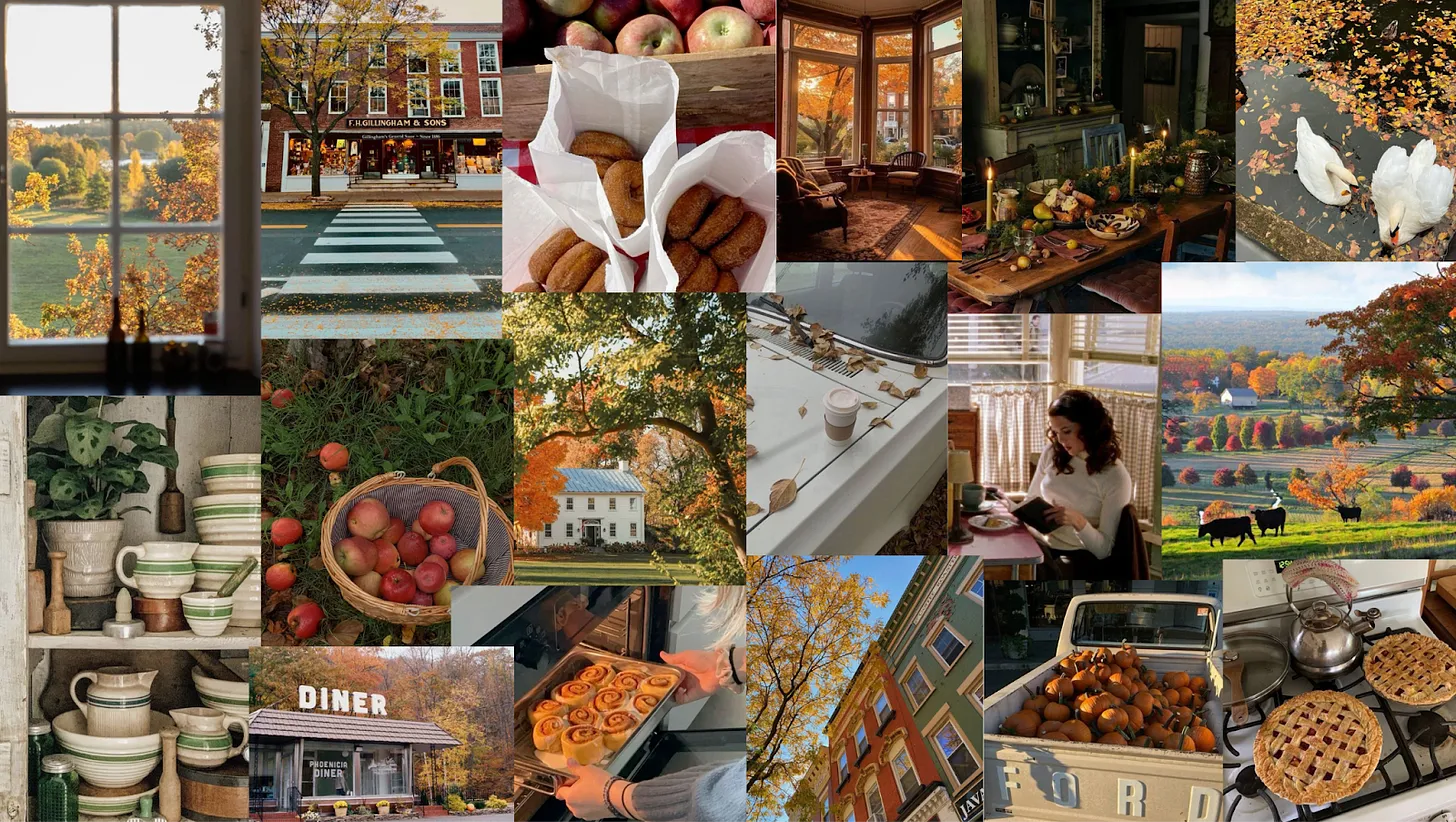 Collection Preview: Upstate