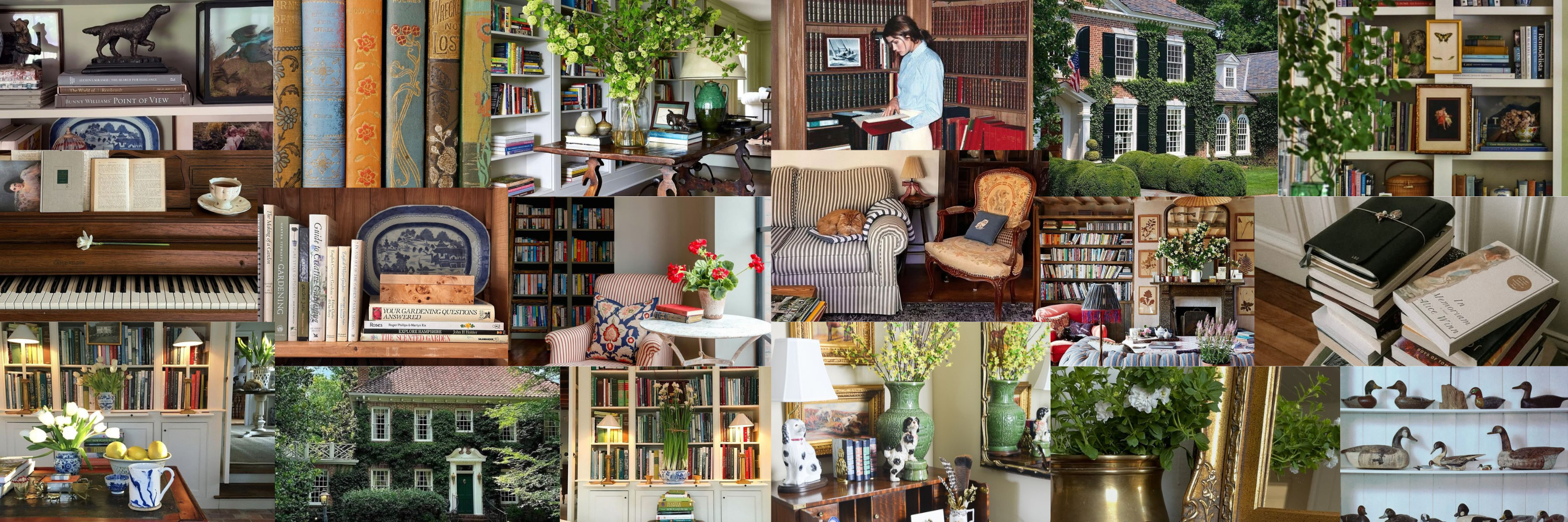 The Study