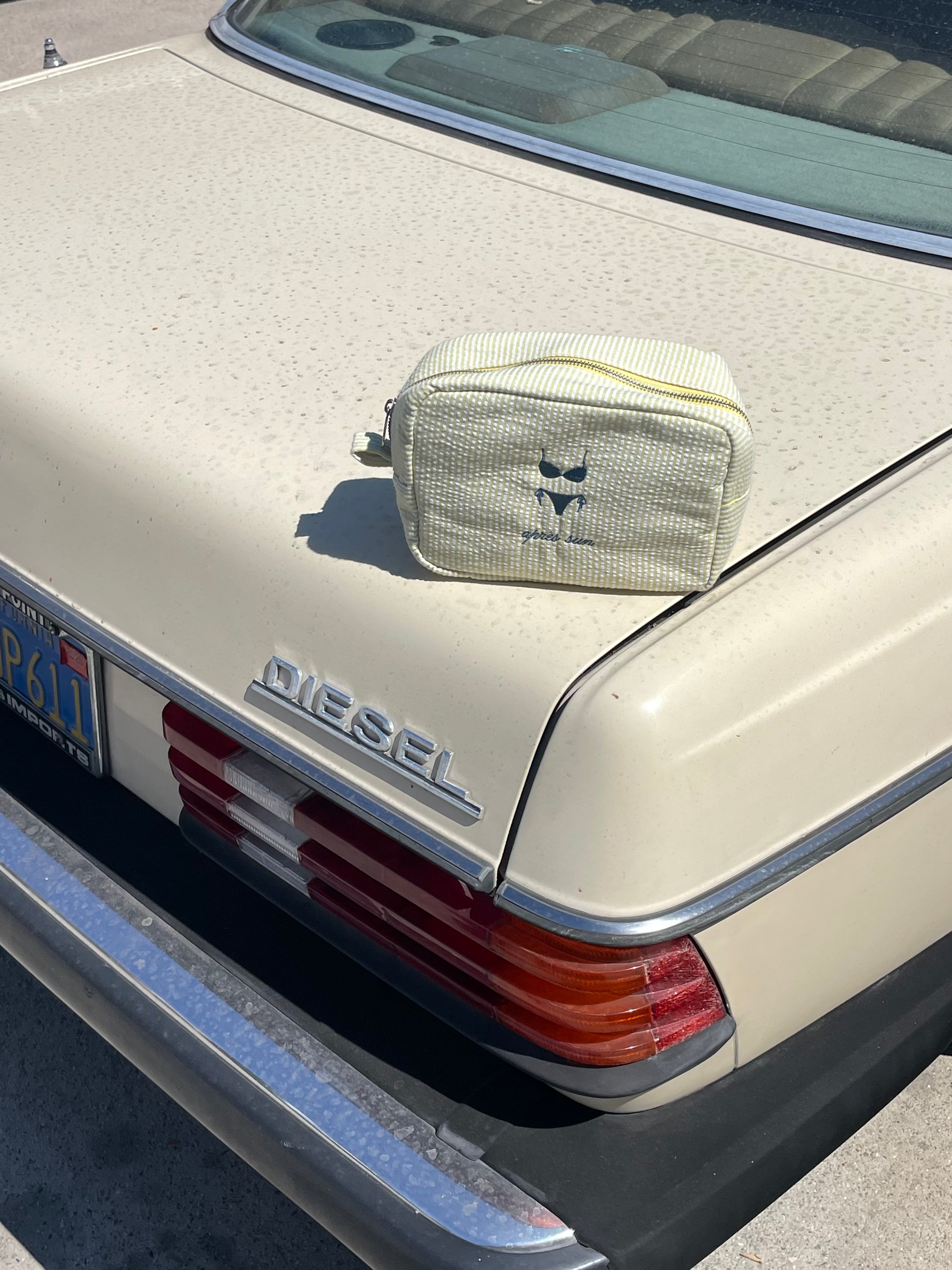 Seersucker Makeup Bag