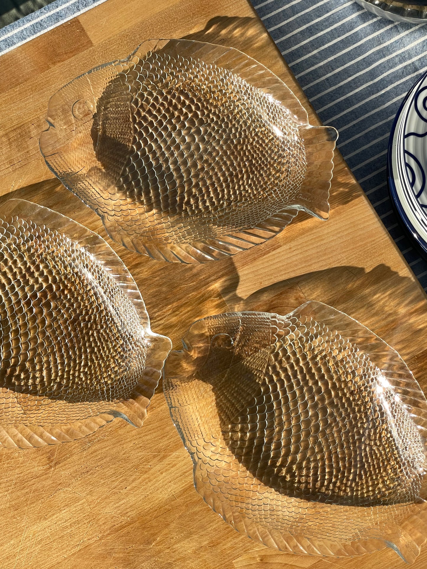 Coastal Catch Glass Plates, Set of 3