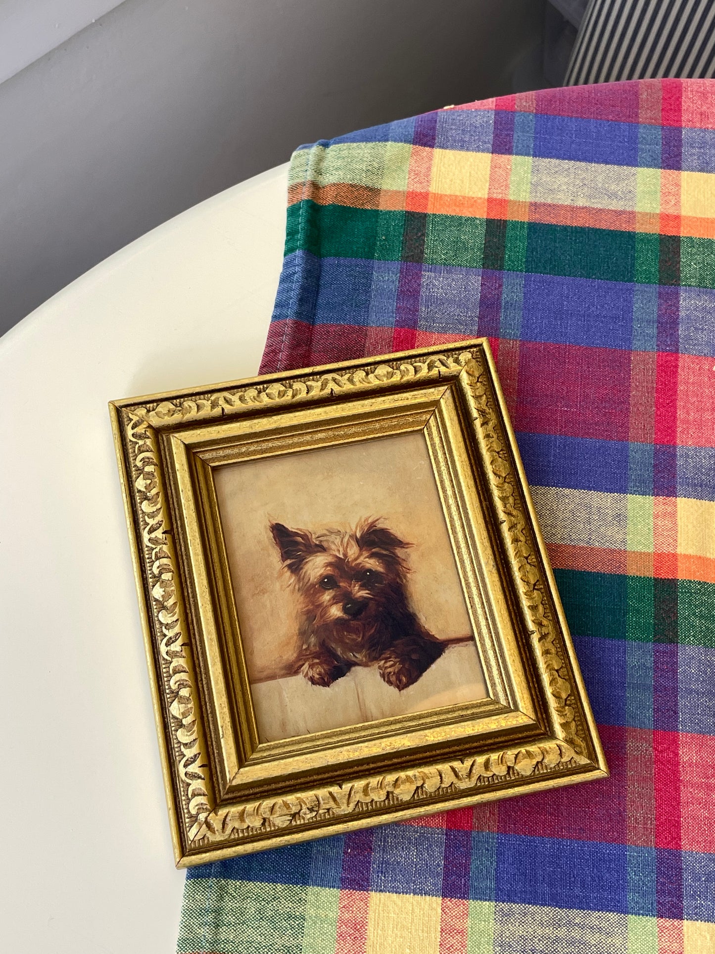 Maisie Framed Art Print