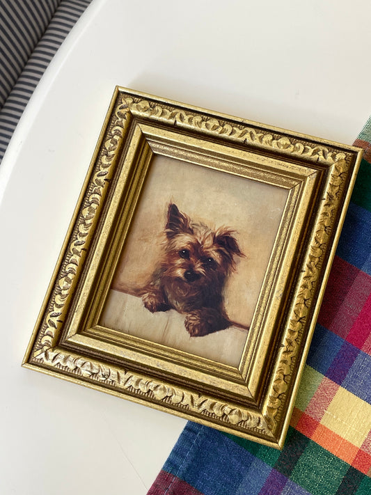 Maisie Framed Art Print
