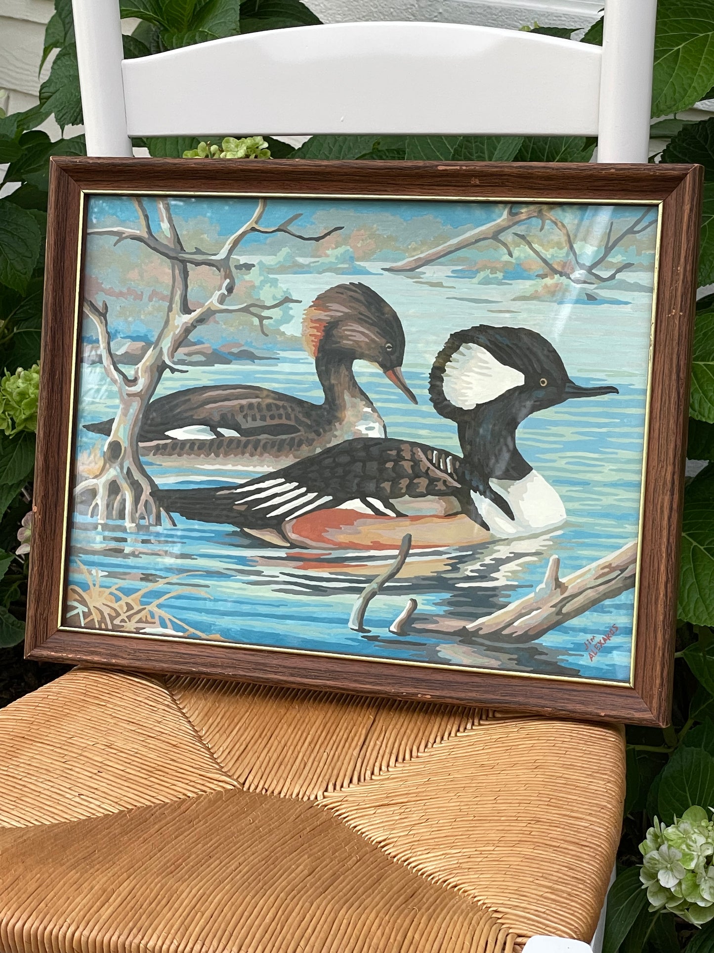 Duck Pond Framed Painting