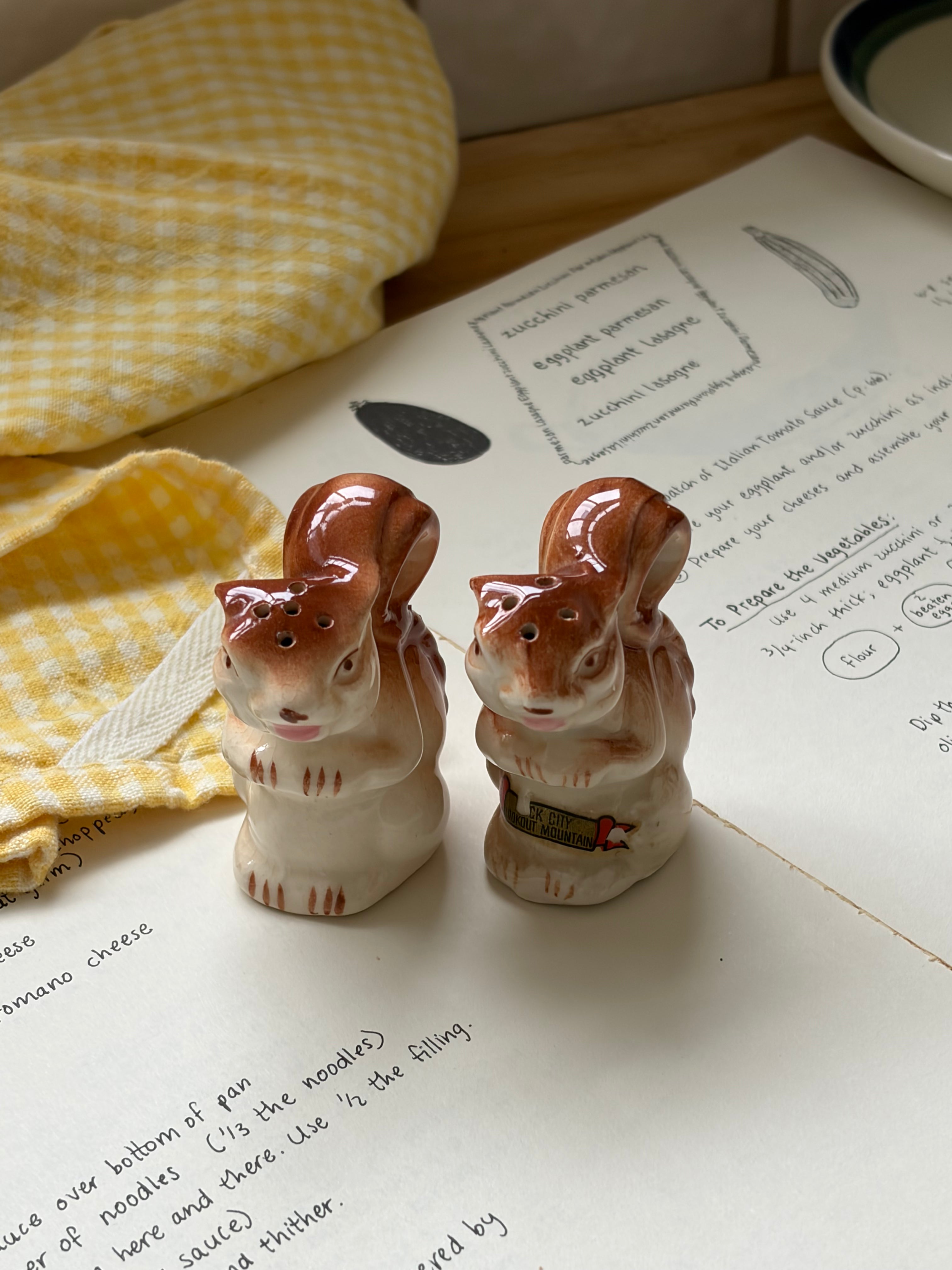 Acorn Hill Salt & Pepper Shakers
