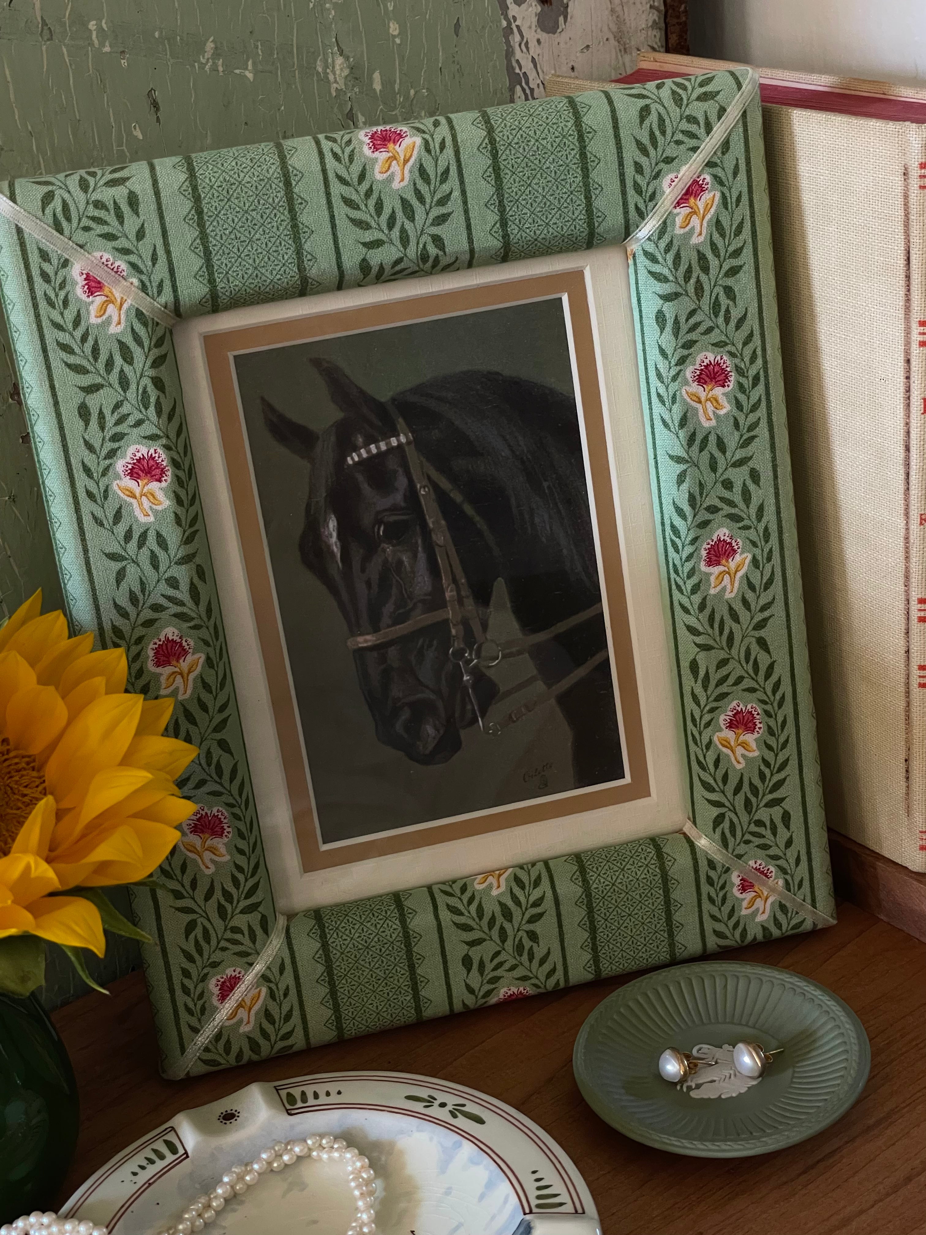 Show Pony Framed Art