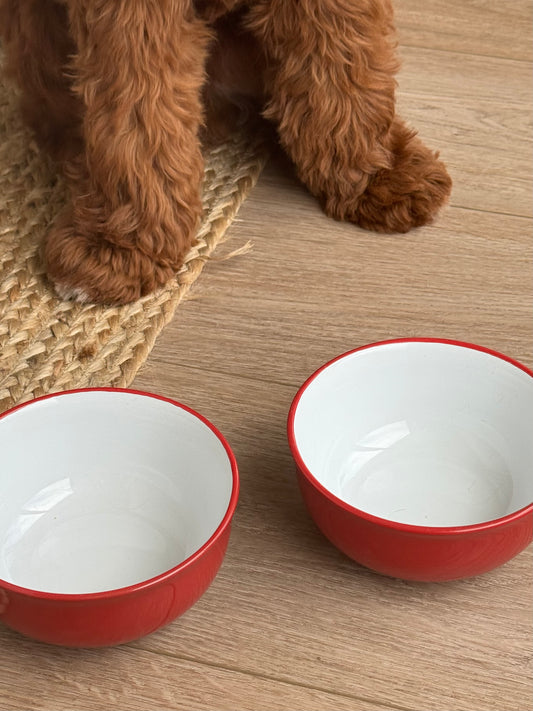 Rover Pet Bowls