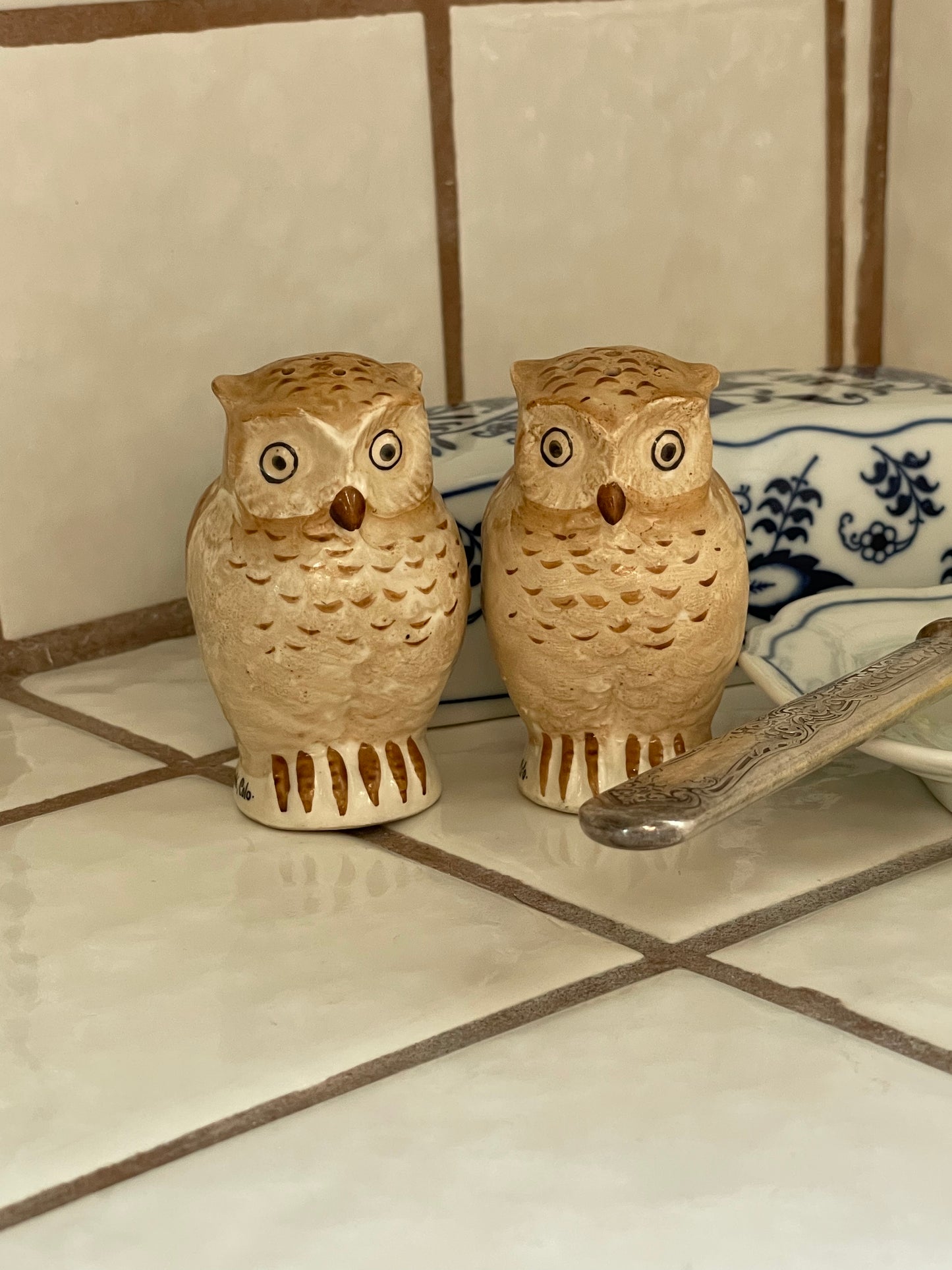 Wise Owl Salt & Pepper Shakers