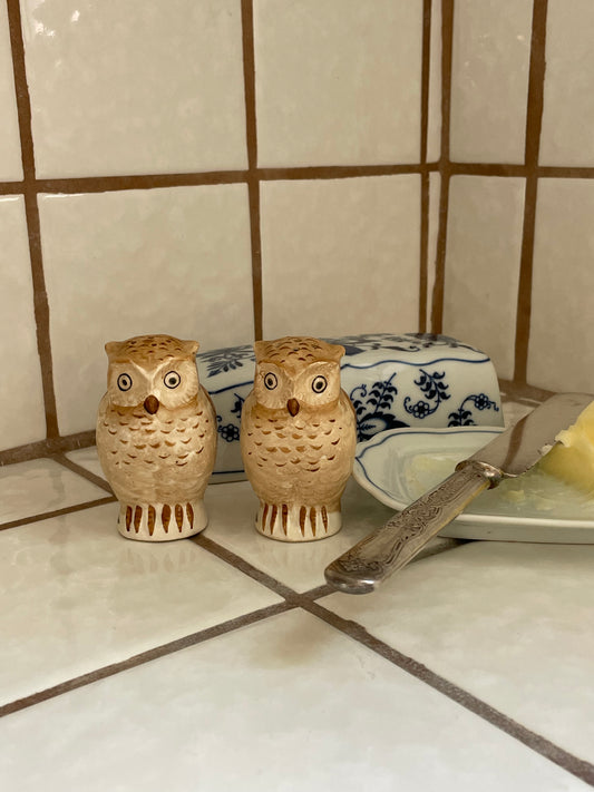 Wise Owl Salt & Pepper Shakers
