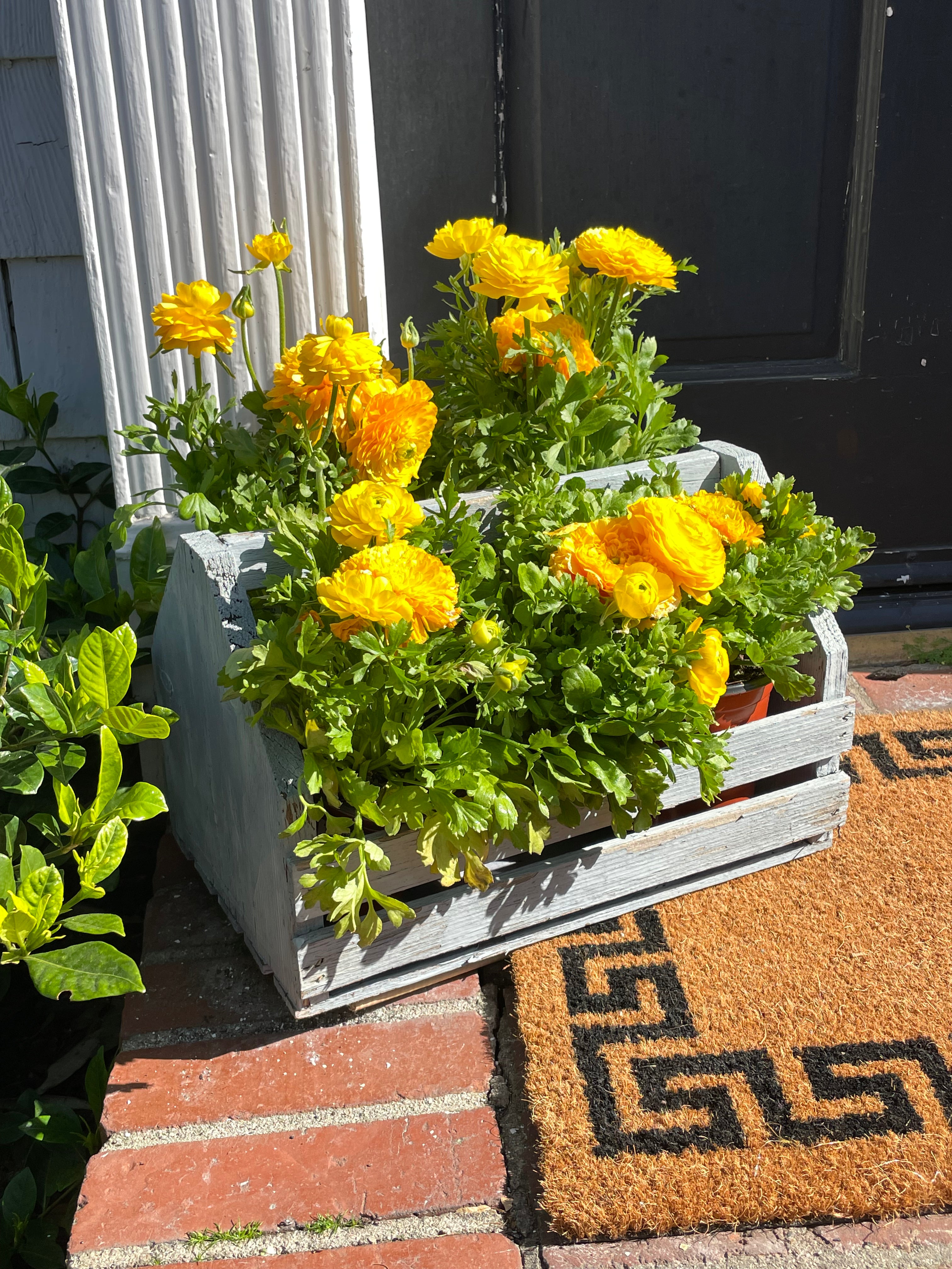 Tulip Fields Wooden Crate