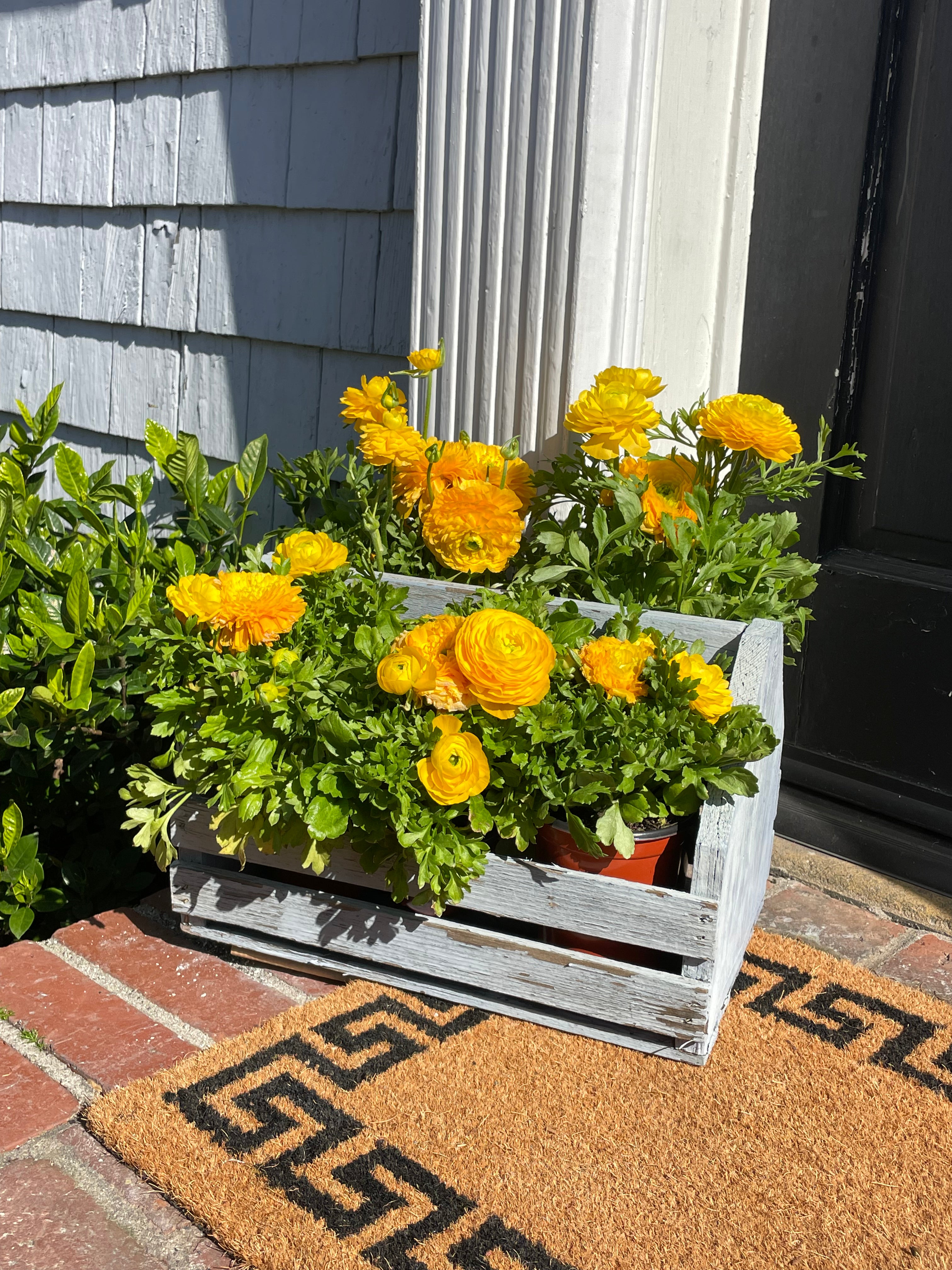 Tulip Fields Wooden Crate