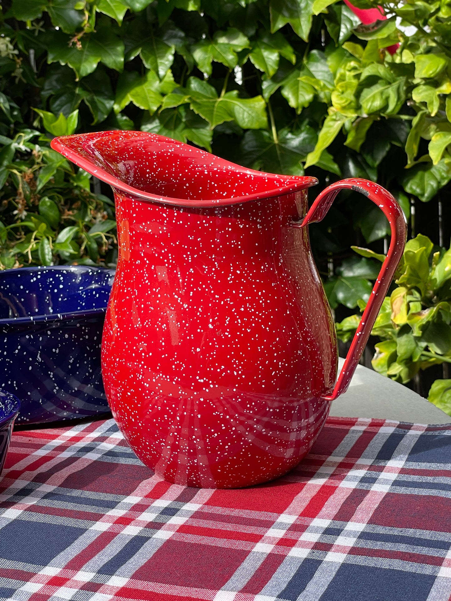 Lake Tahoe Enamel Pitcher