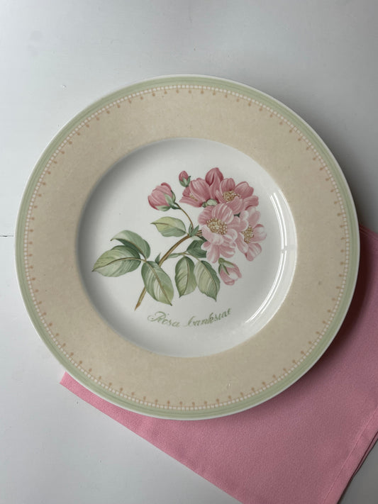 Lady Banks Rose Dinner Plates, Set of 4