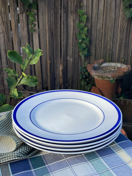 Hayes Dinner Plates, Set of 4