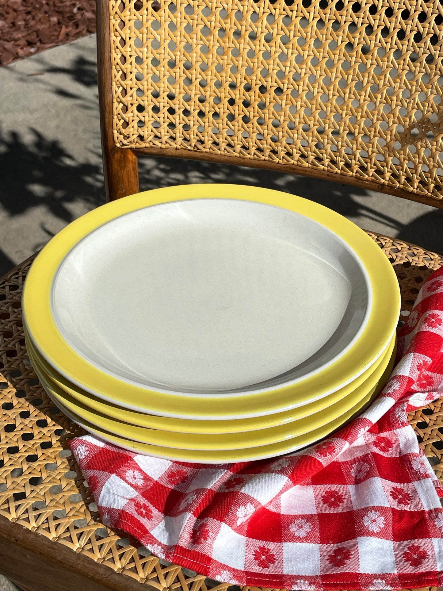 Yellowfin Dinner Plates, Set of 4