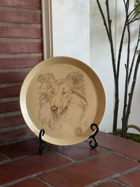 Collie Decorative Plate