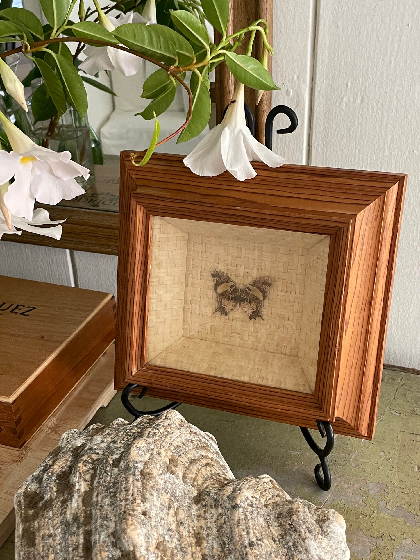 Savanna Butterfly Framed Shadowbox