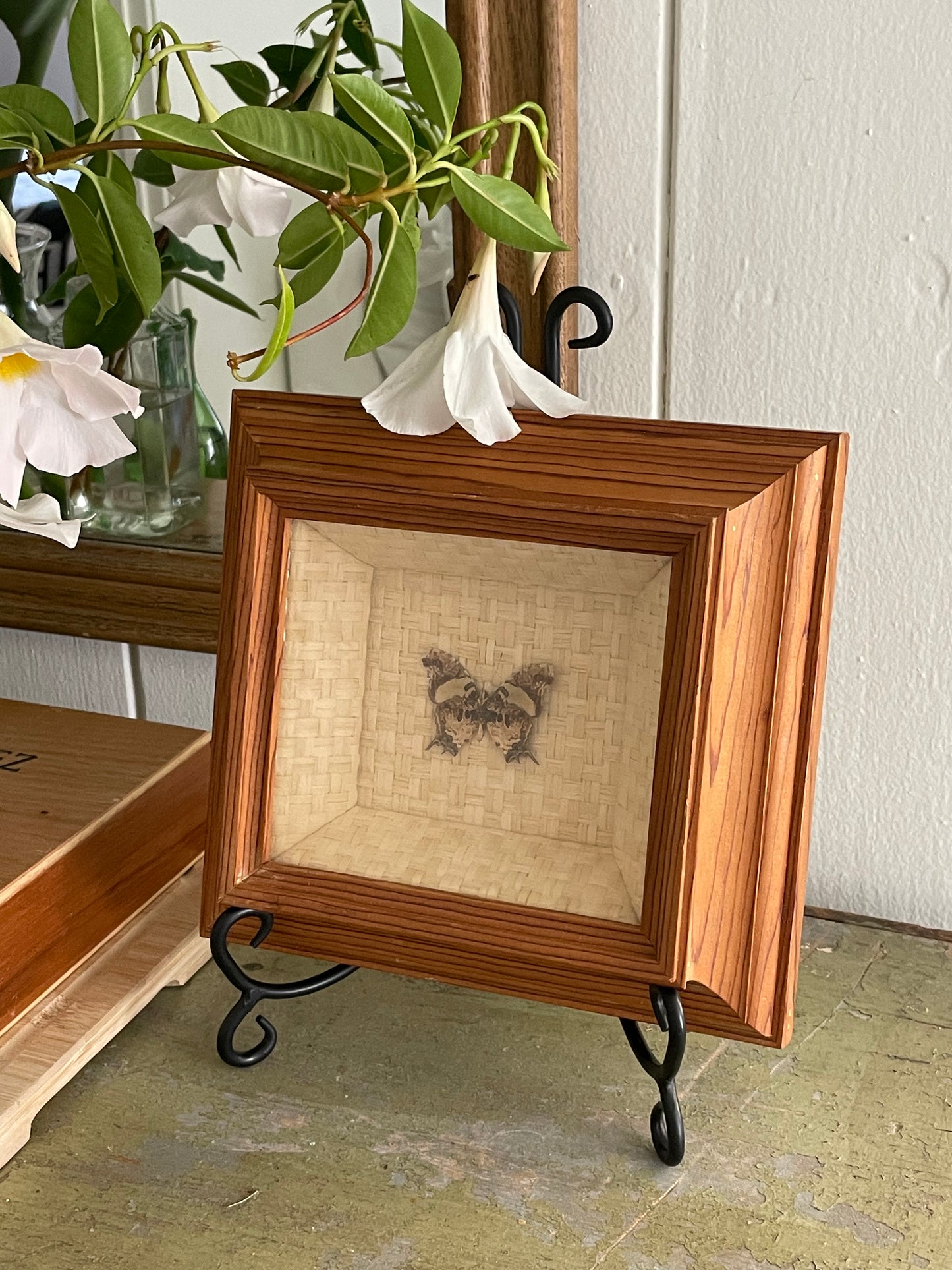 Savanna Butterfly Framed Shadowbox