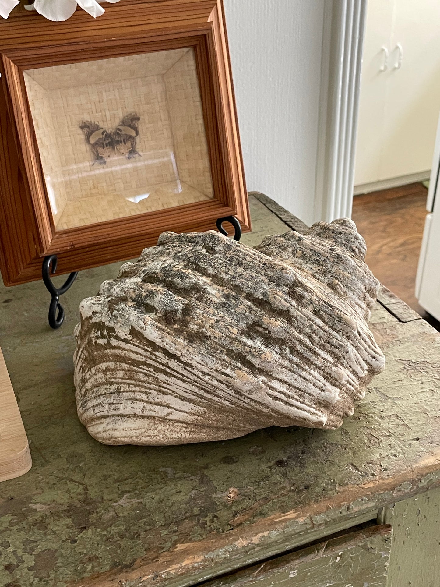 Mossy Cove Decorative shell