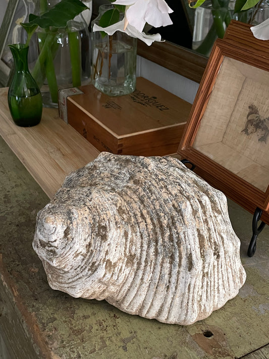 Mossy Cove Decorative shell