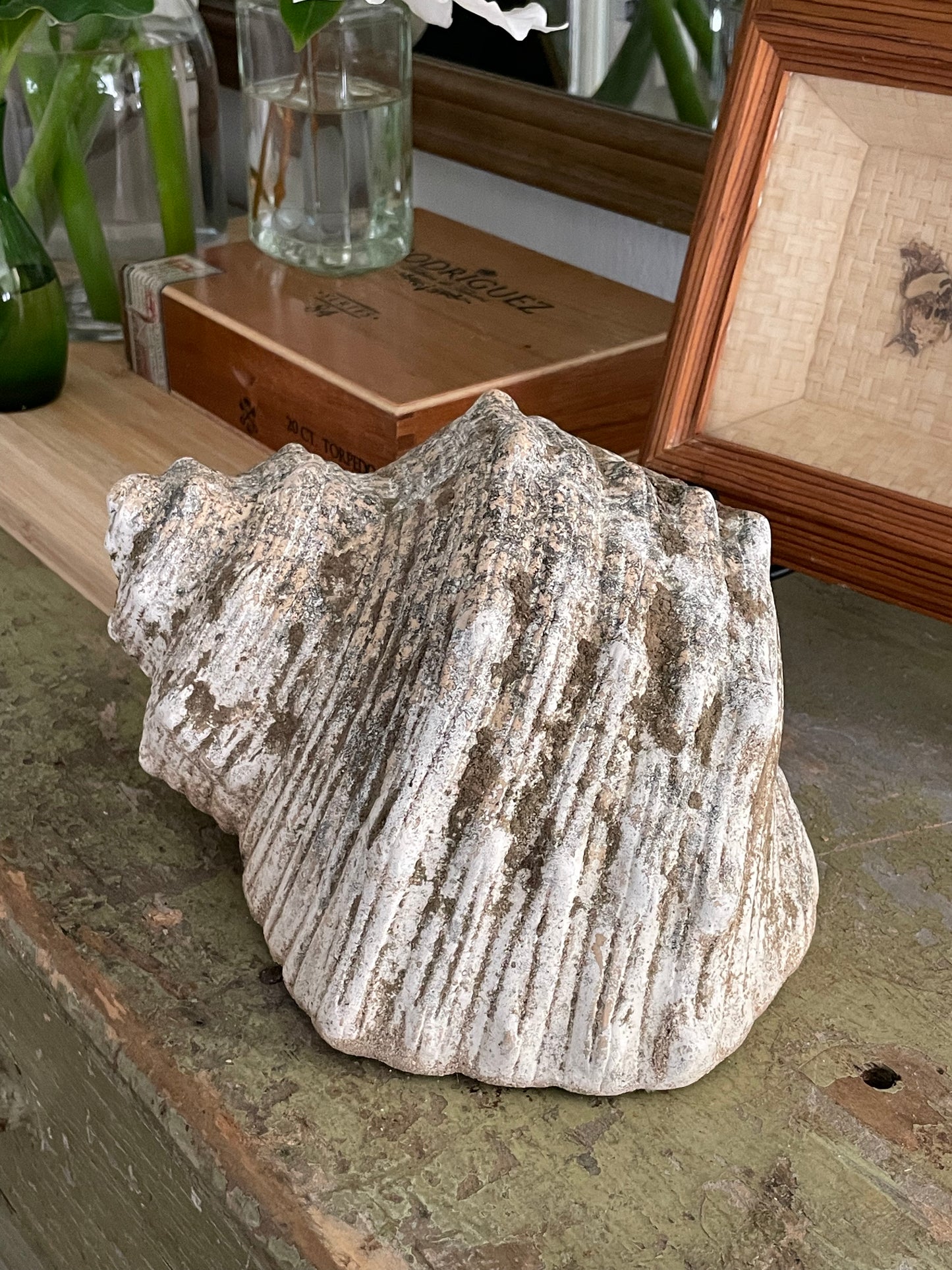 Mossy Cove Decorative shell