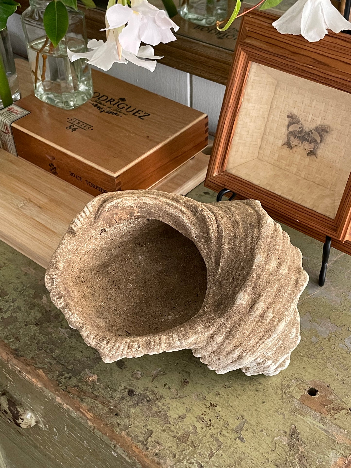 Mossy Cove Decorative shell