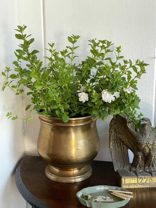 Chatsworth Plant Pot