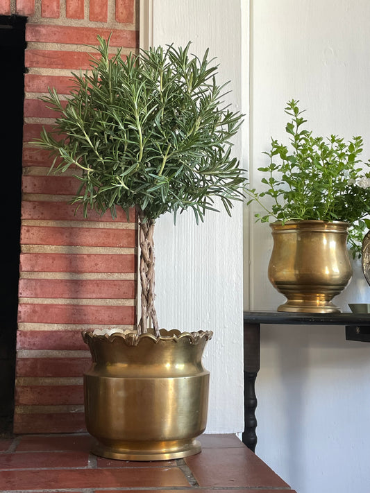 Sloane Brass Plant Pot