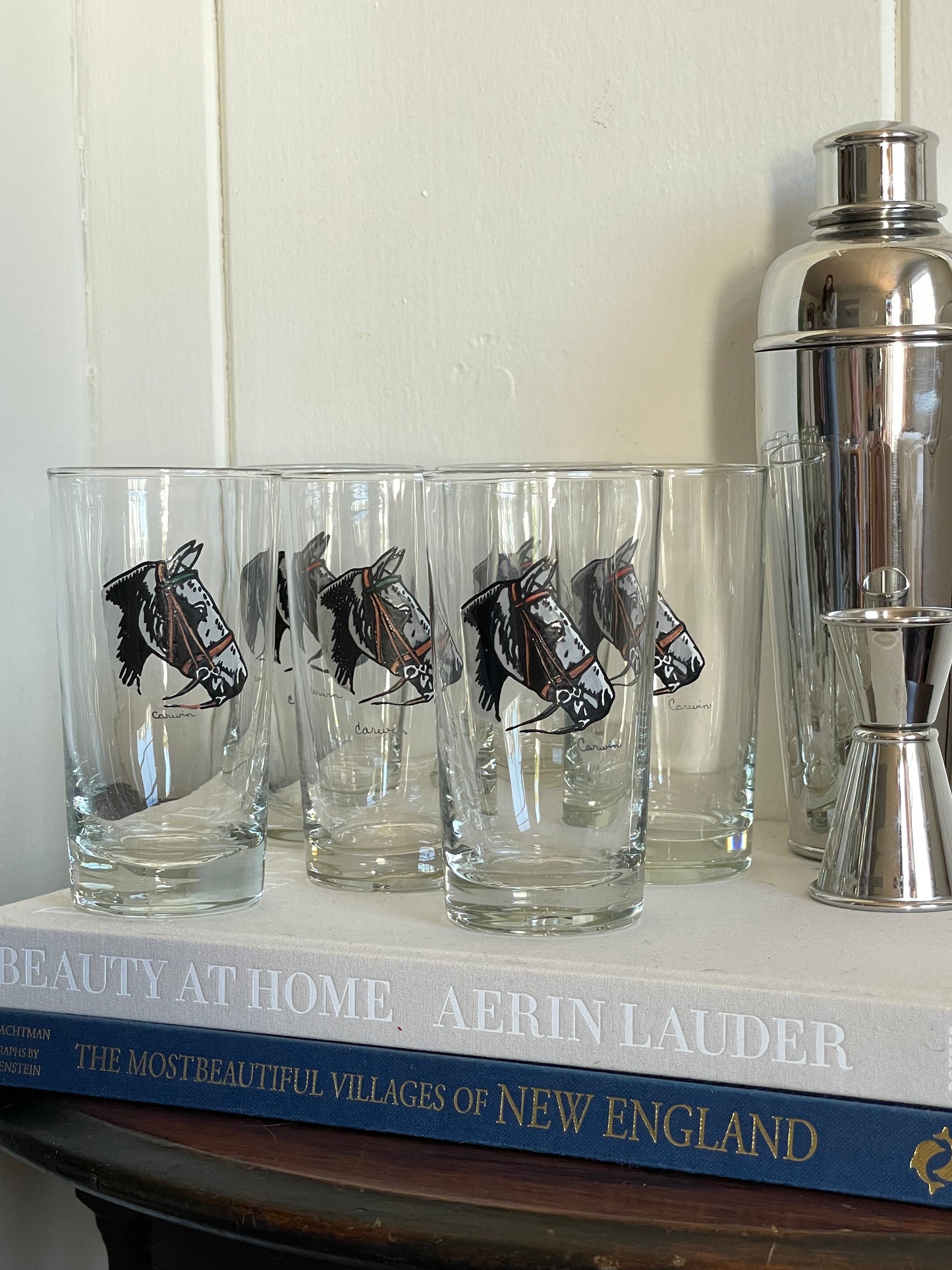 Equestrian Highball Glasses, Set of 6