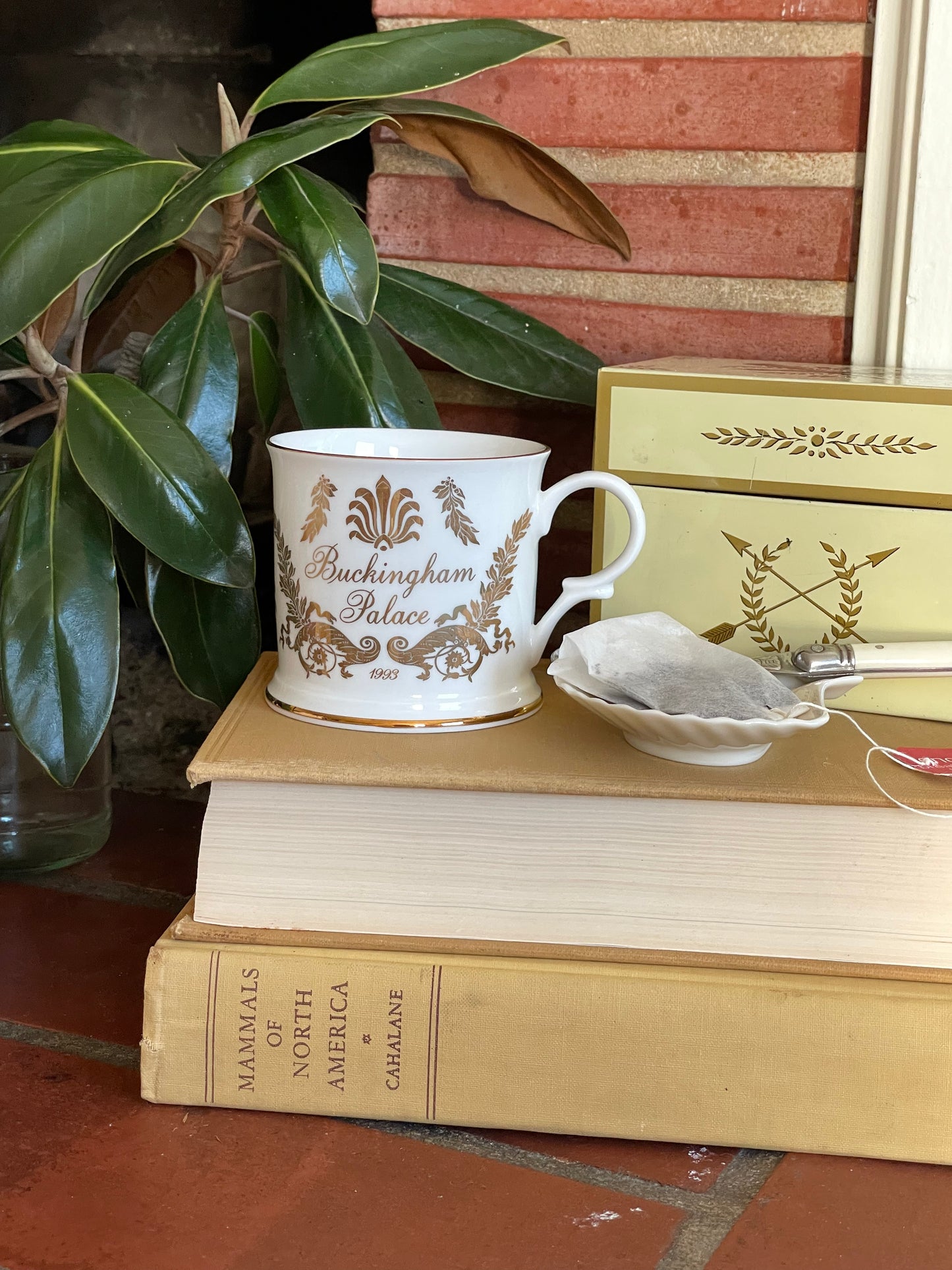 Buckingham Palace 1993 Mug