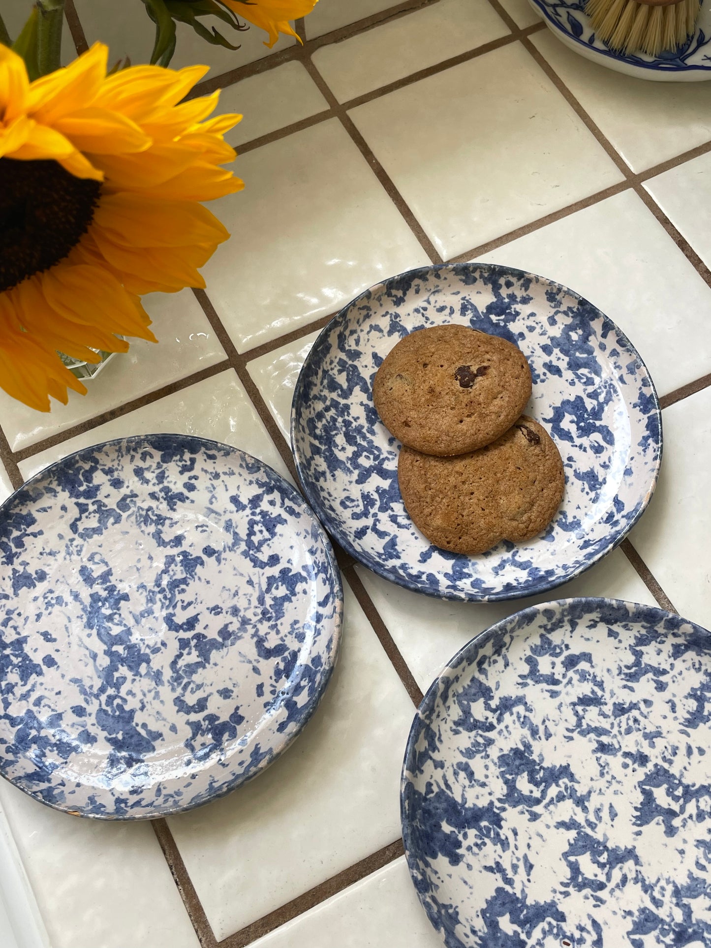 Wide Open Spaces Treat Plates, Set of 3