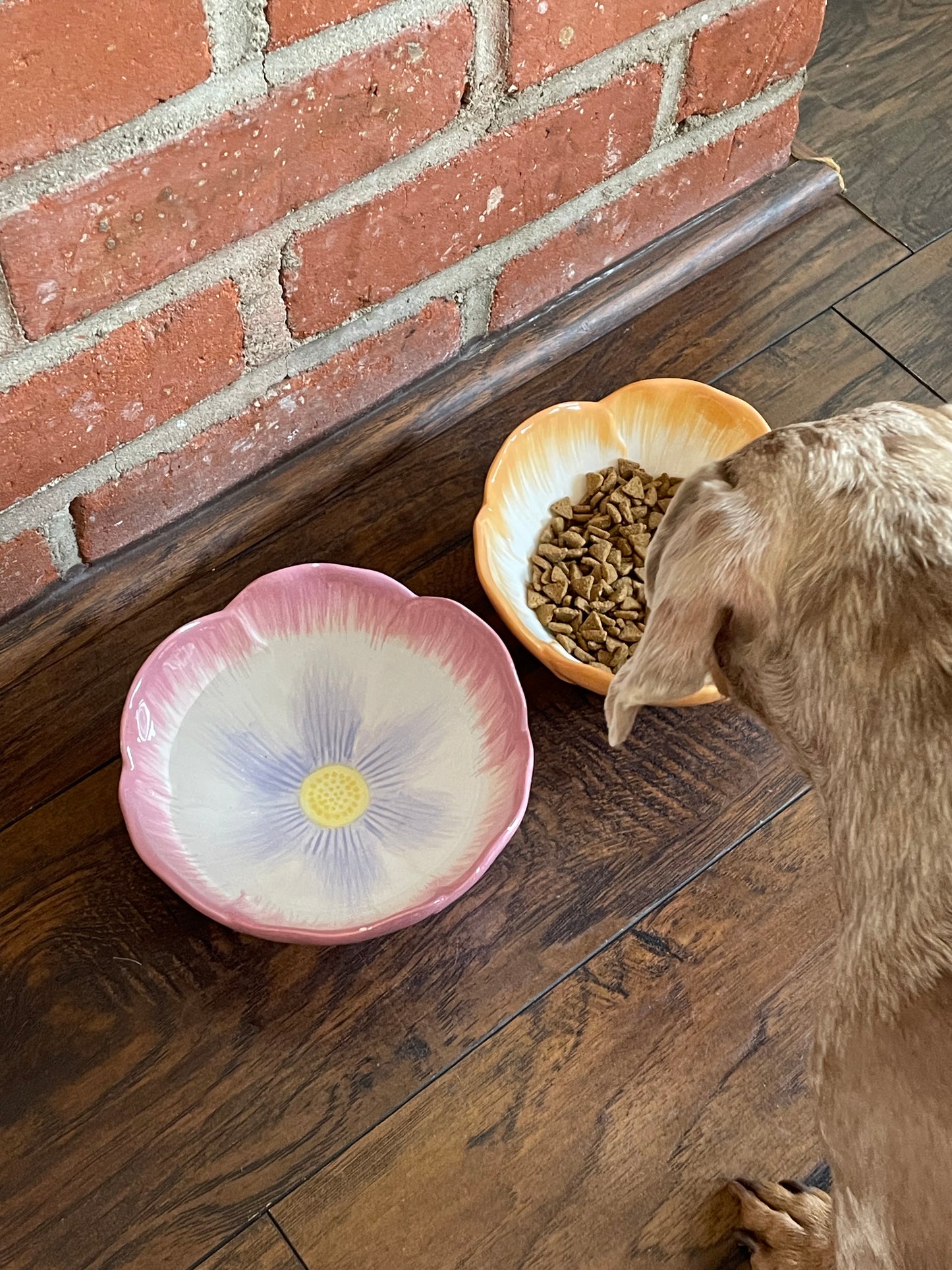 Blossom Dog Bowls, Set of 2