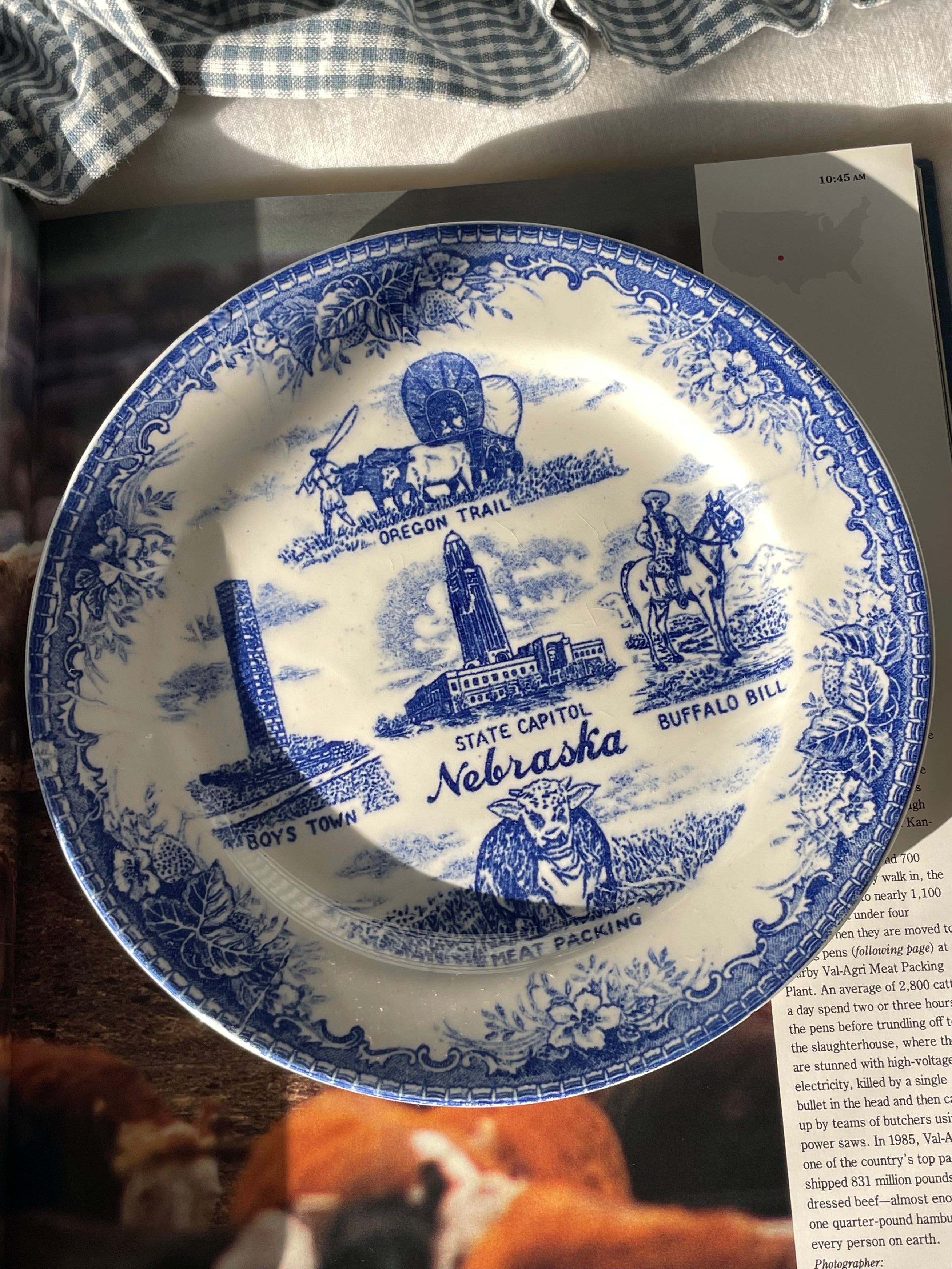 Nebraska State Plate