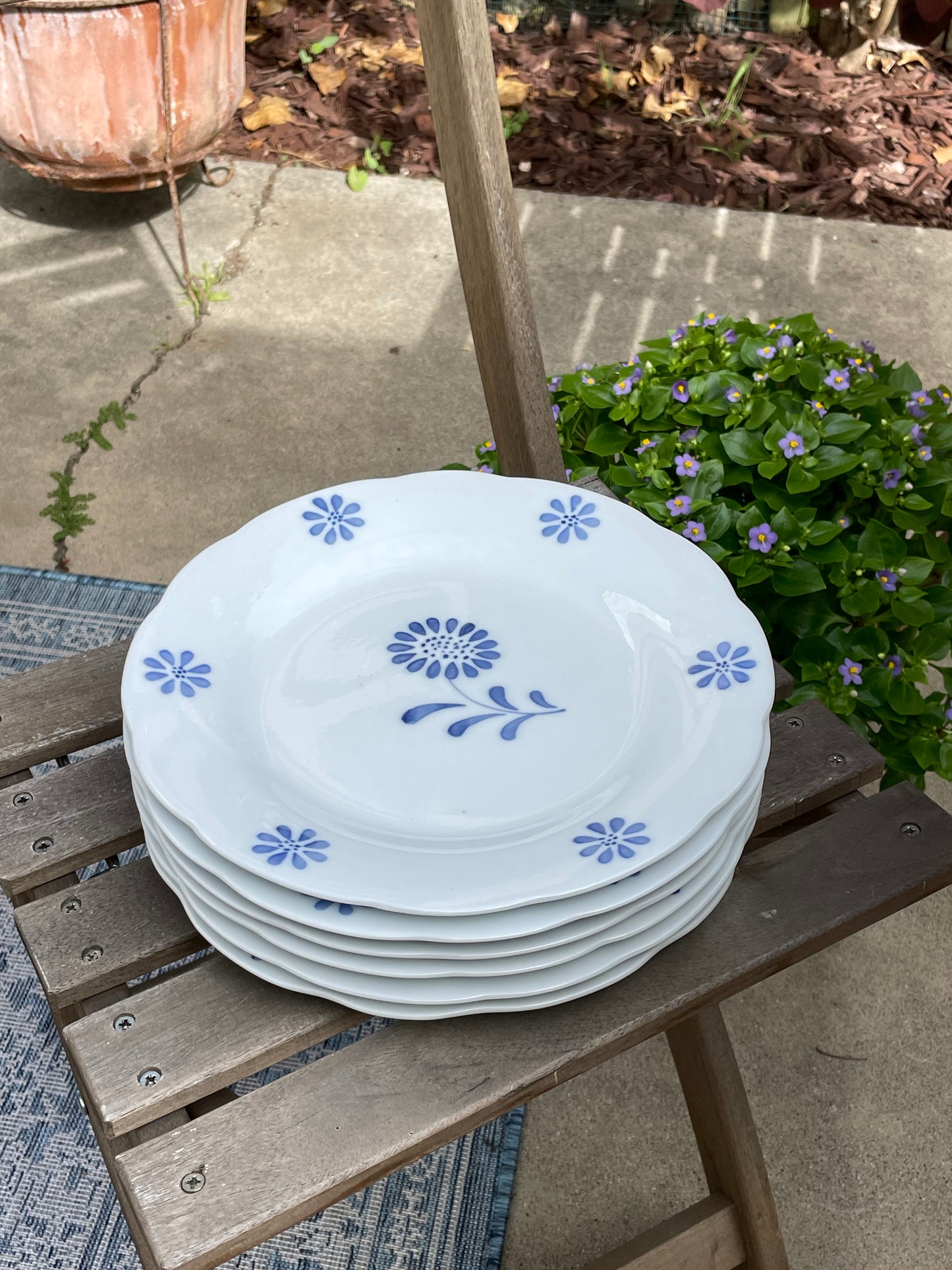Blue Daisy Dinner Plates, Set of 6