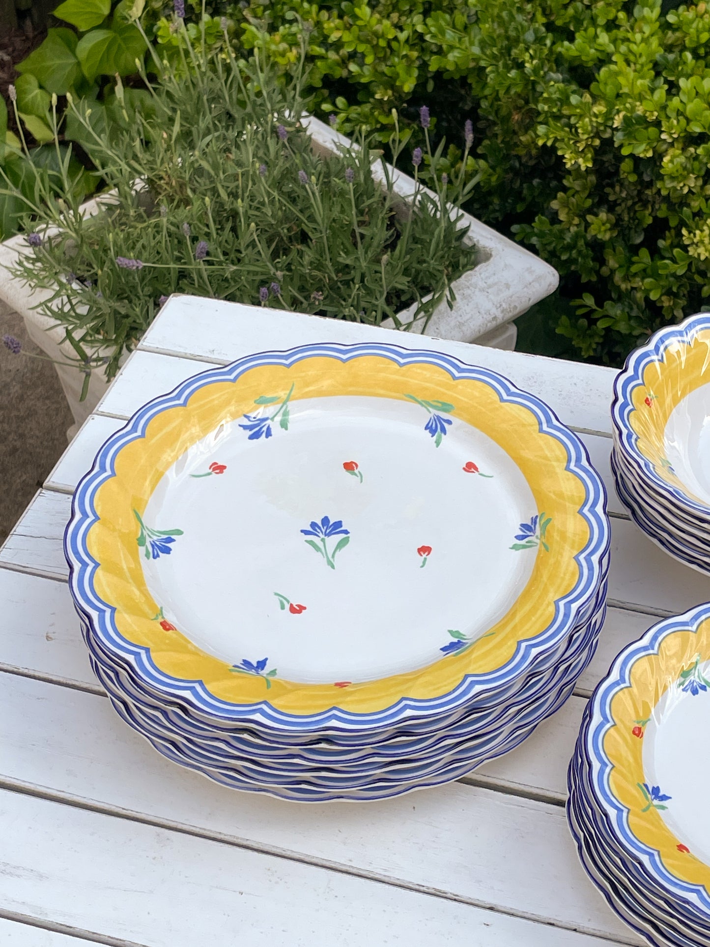 Sunshine and Blue Skies Dinner Plates, Set of 6