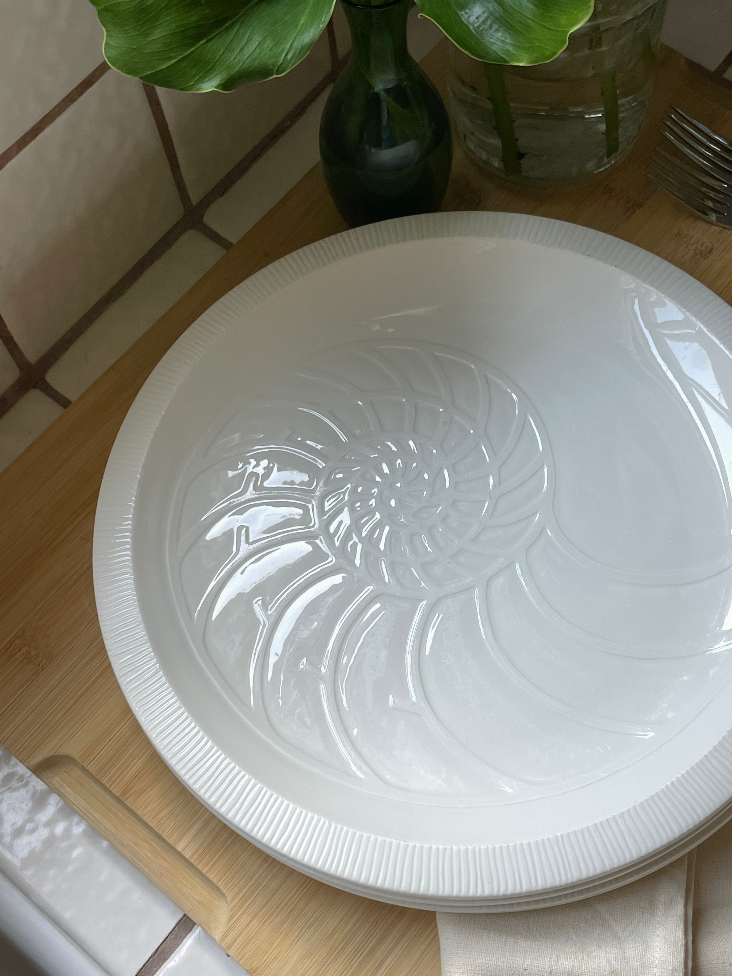 Nautilus Dinner Plates, Set of 4