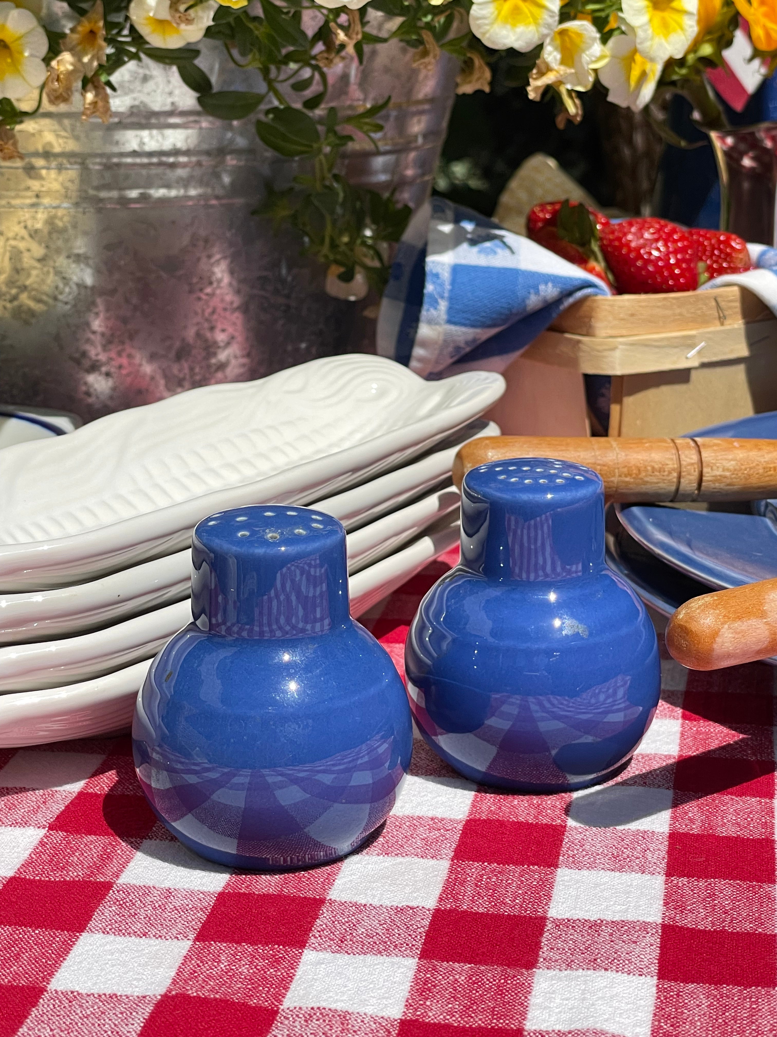 Blue Ribbon Salt & Pepper Shaker