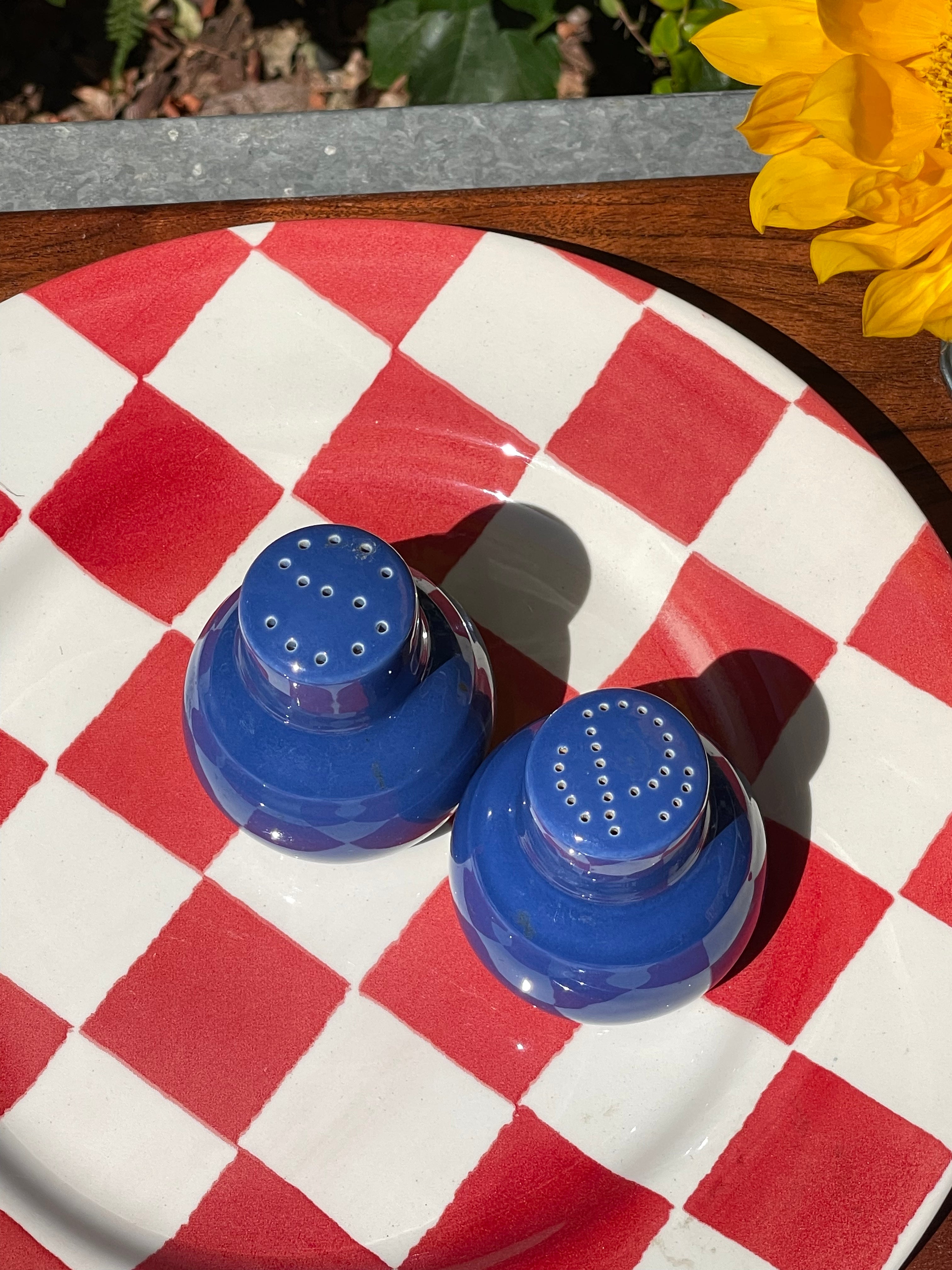 Blue Ribbon Salt & Pepper Shaker