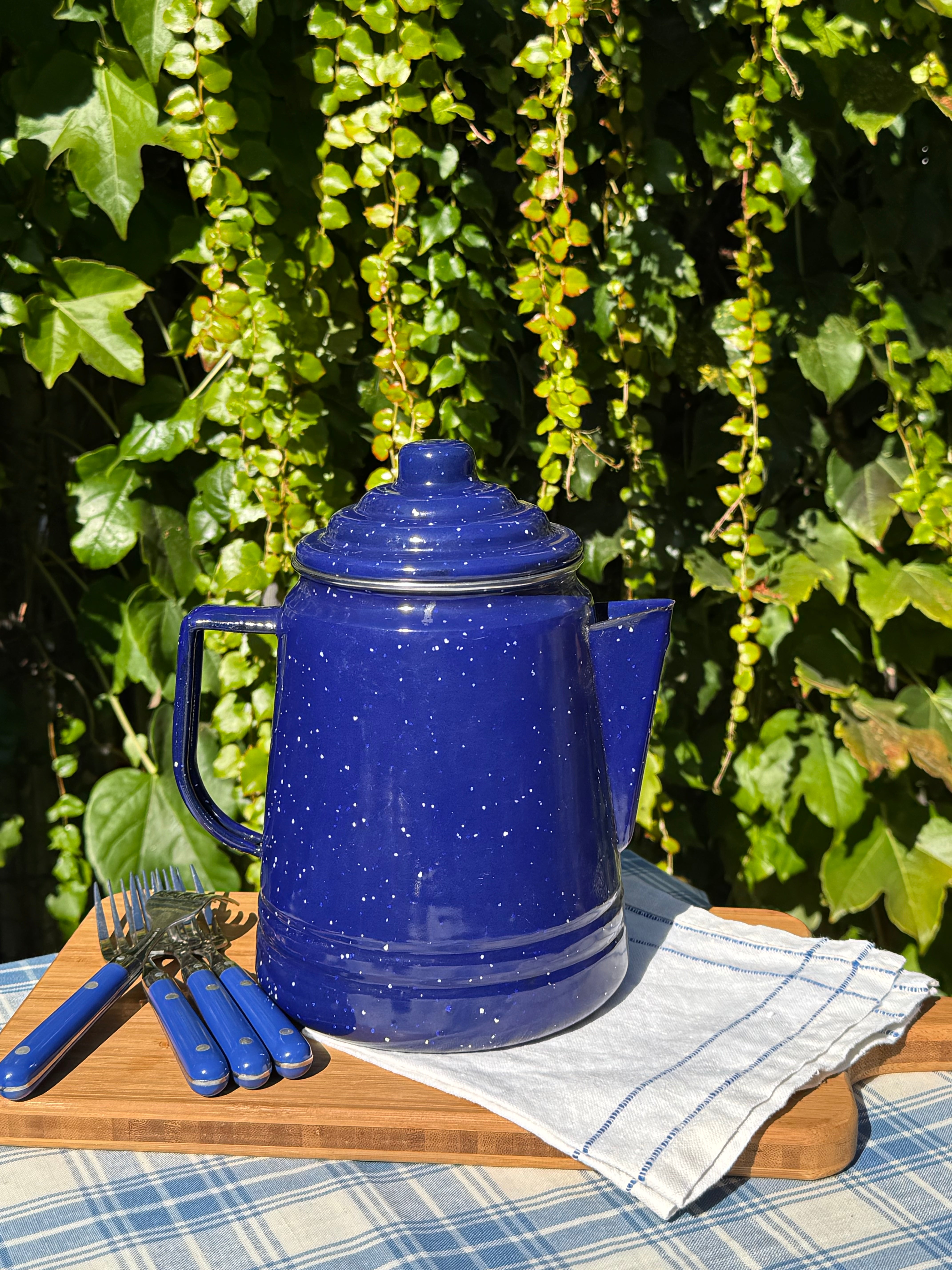 Foothills Speckle-Ware Enamel Pitcher