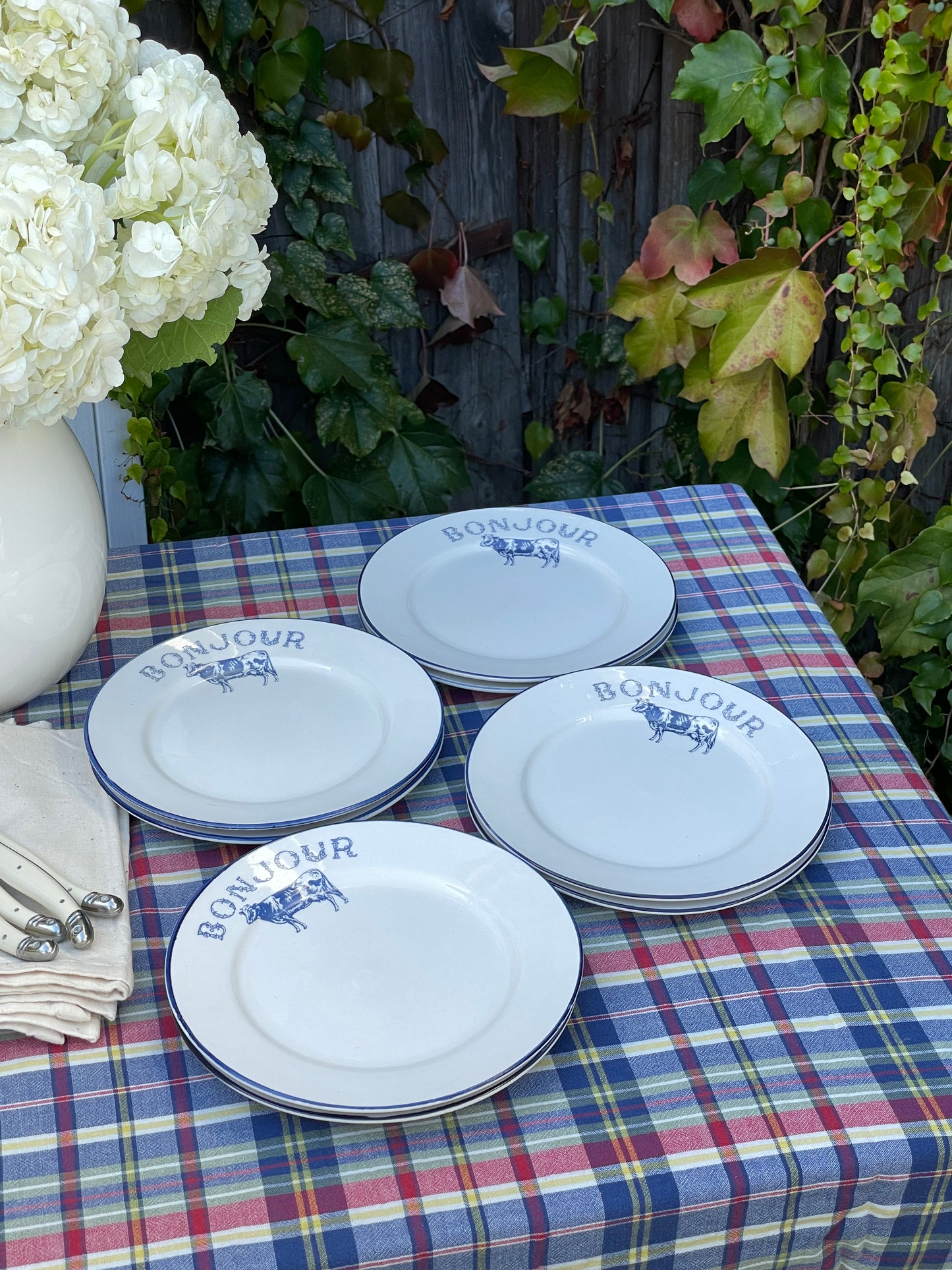 Bonjour Plates, Set of 8