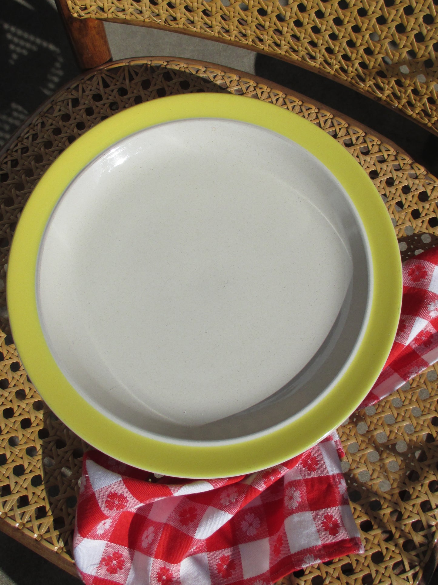 Yellowfin Dinner Plates, Set of 4