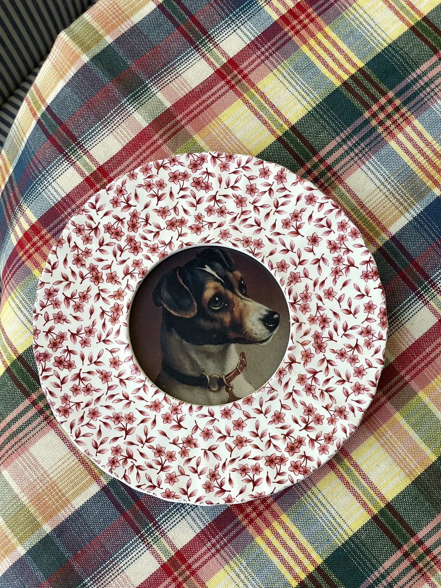 Jack Russell Terrier Portrait Framed Art