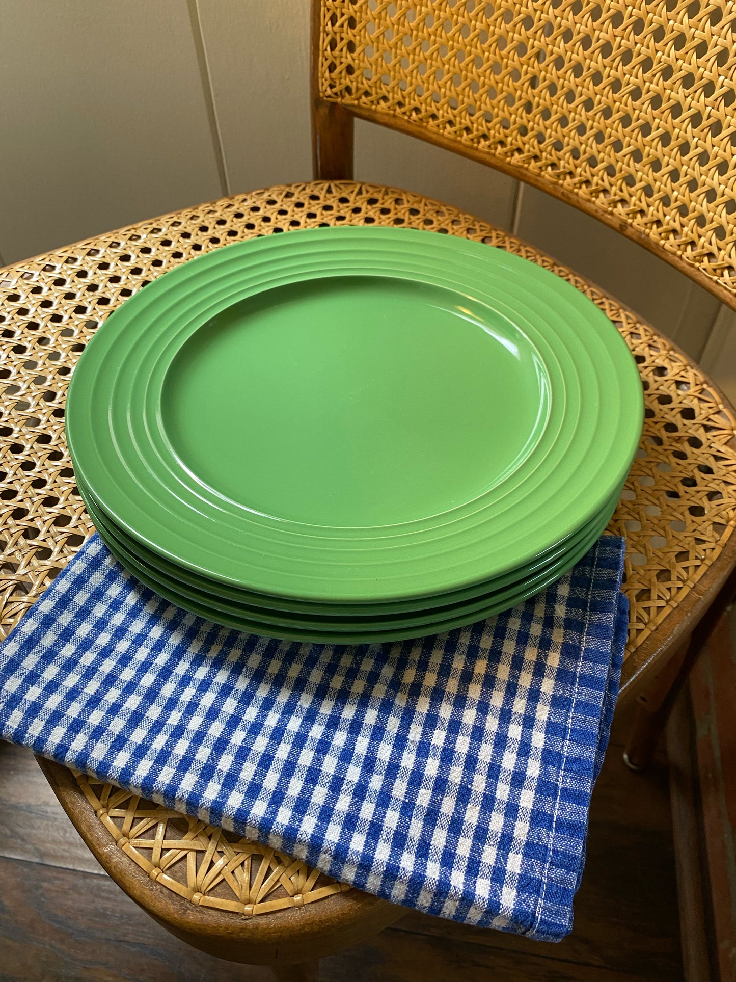 Trail Mix Dinner Plates, Set of 4